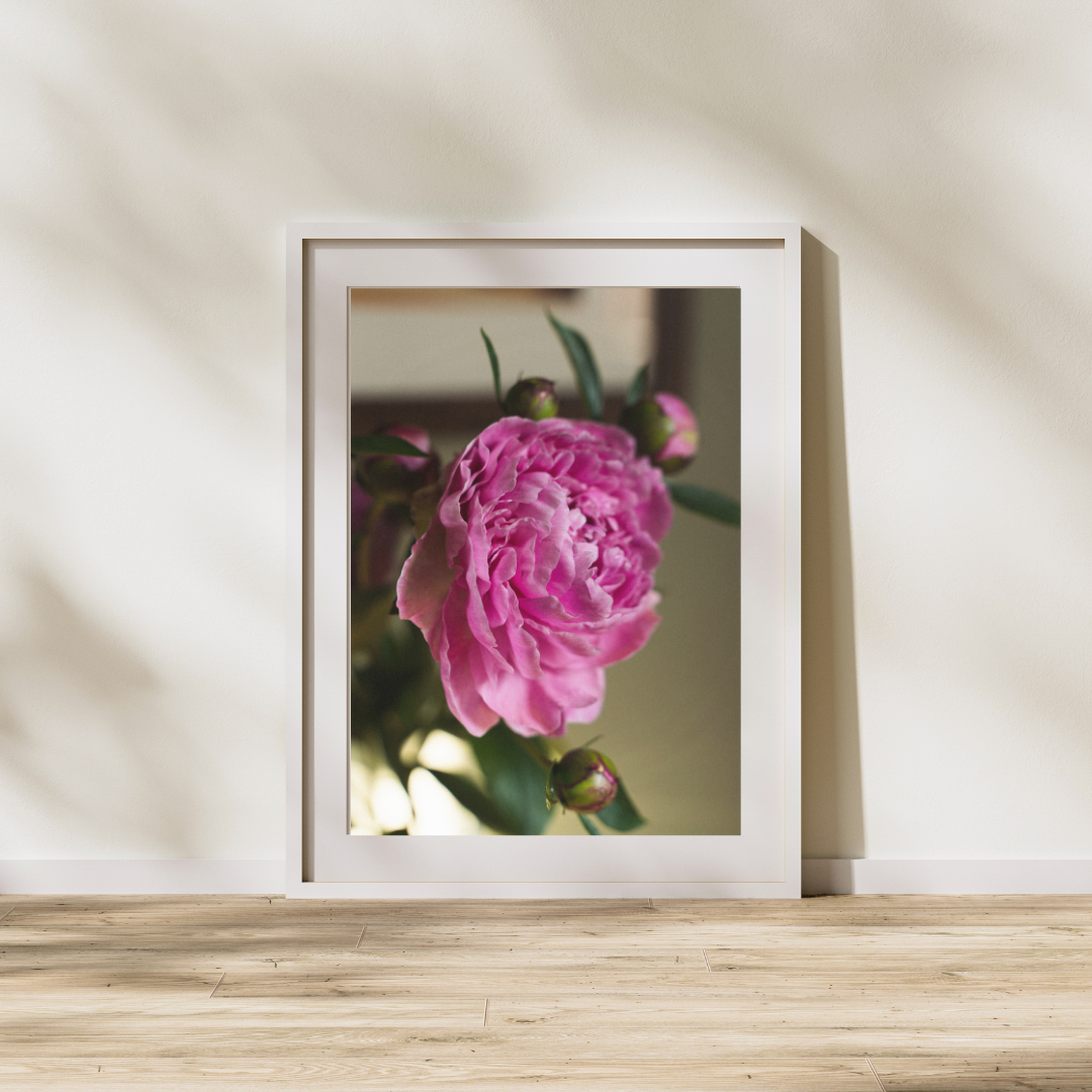119 Peony Print