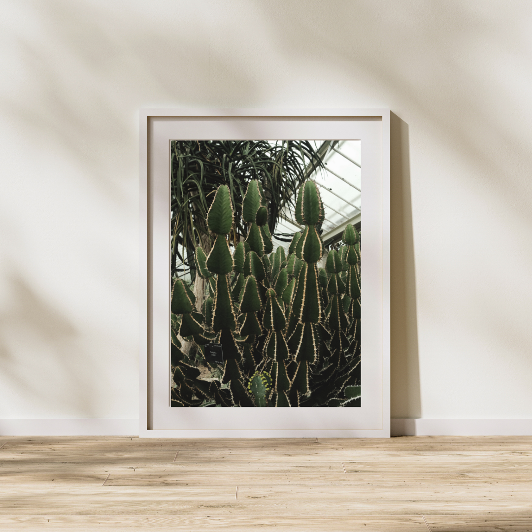 057 Plant Print