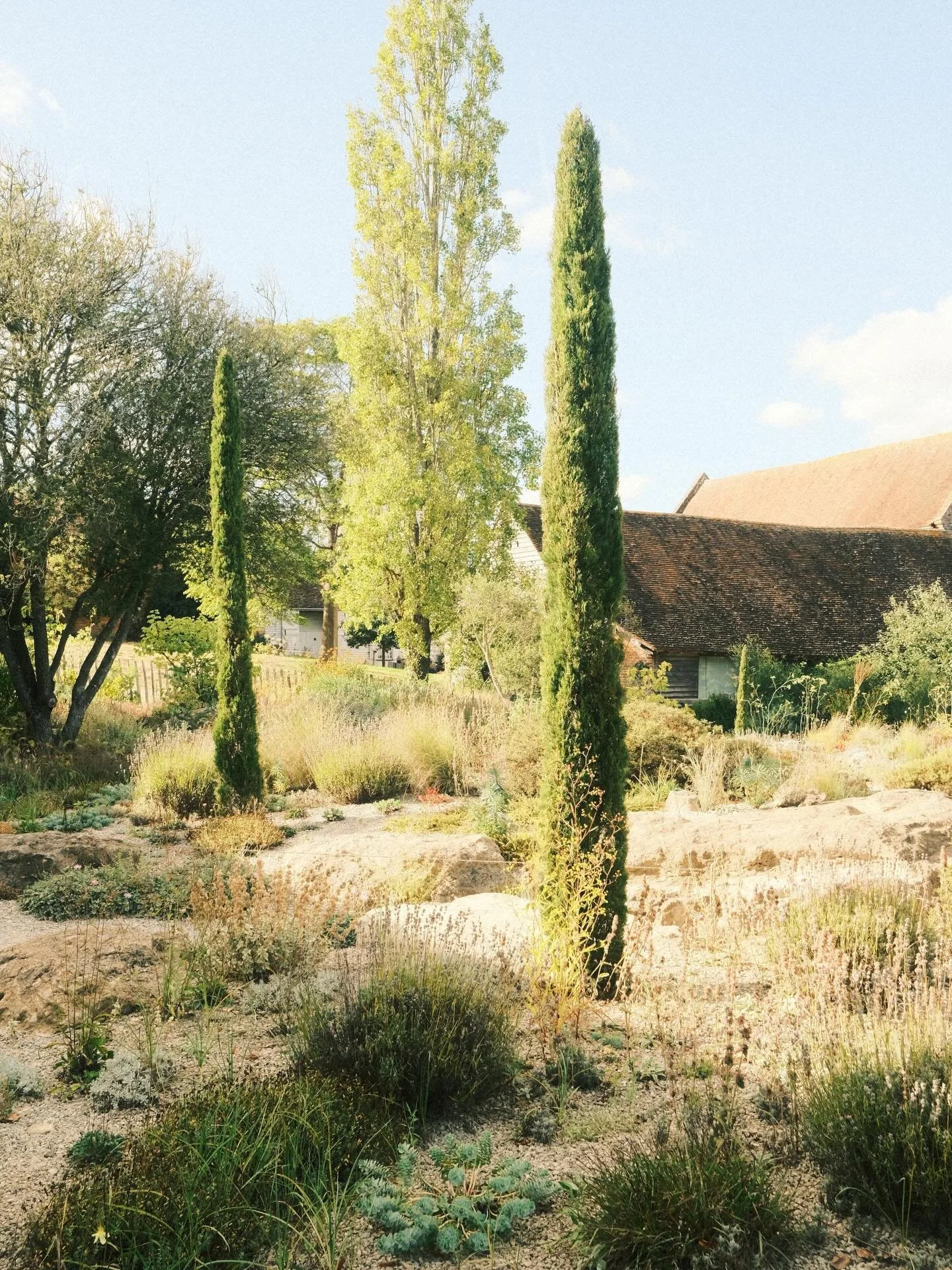 #floralphotography #flowerphotography #botanicalphotography #flowerlovers #floral_perfection