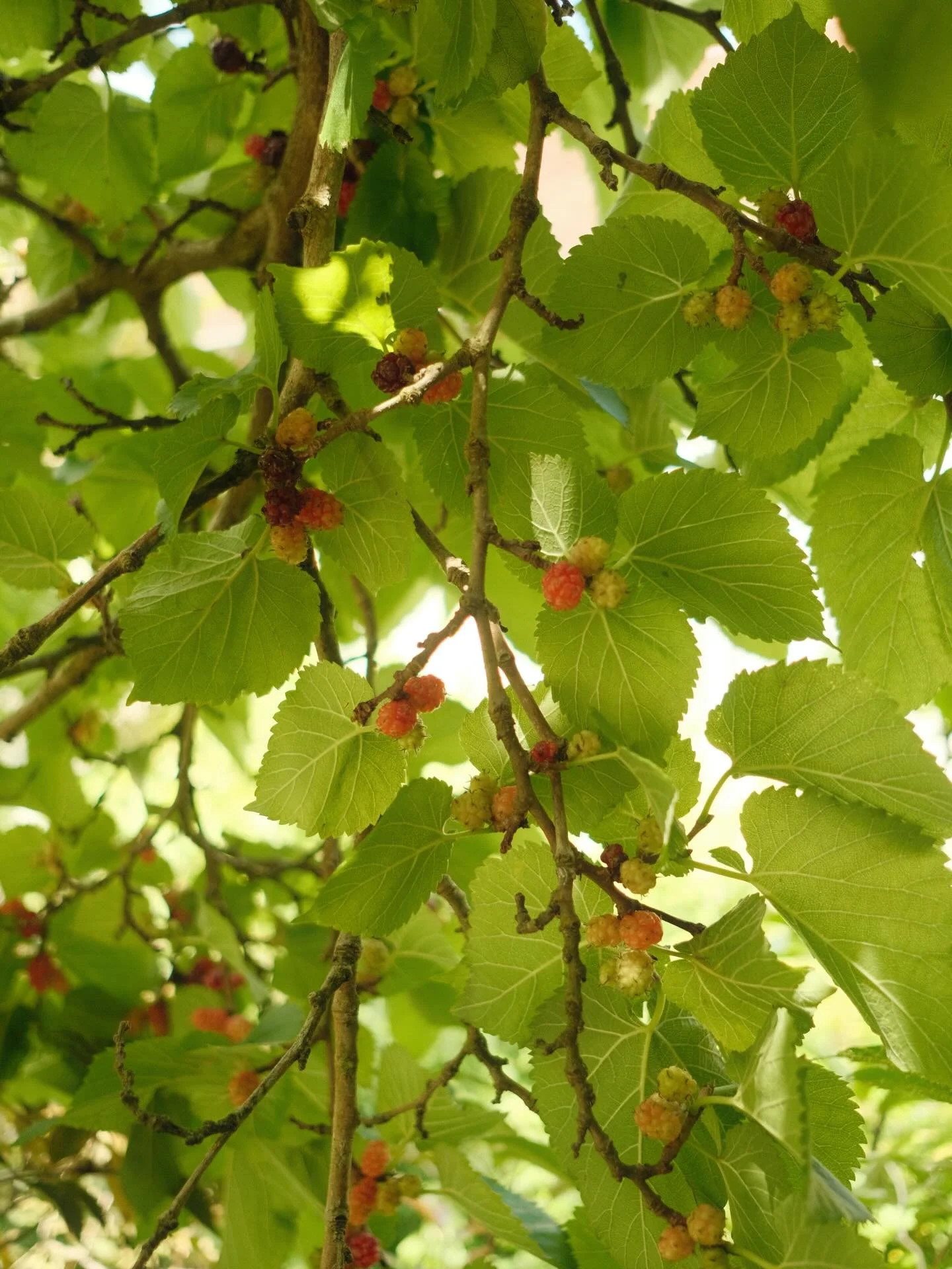 naturephotography #naturelovers #earthfocus #discoverearth #nature_perfection #ourplanetdaily planetearth stayandwander peacefulplaces calmvisuals