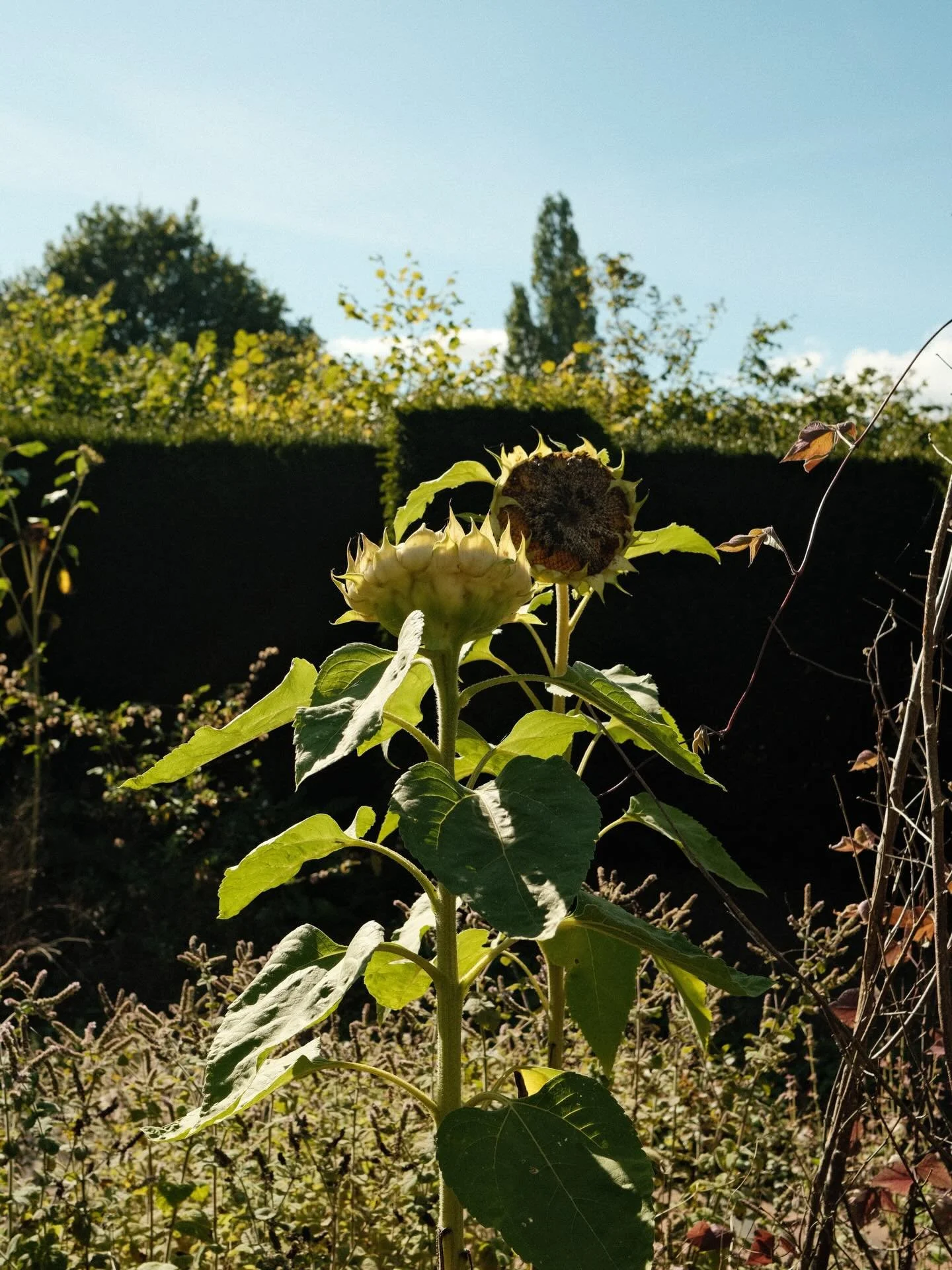 naturephotography #naturelovers #earthfocus #discoverearth #nature_perfection #ourplanetdaily planetearth stayandwander peacefulplaces calmvisuals