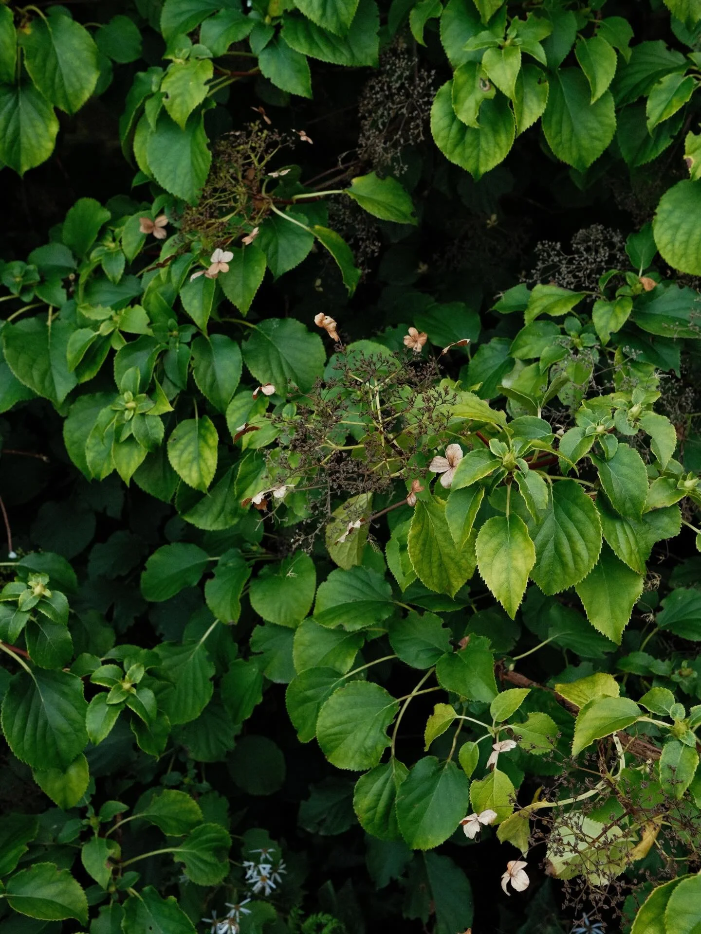 naturephotography #naturelovers #earthfocus #discoverearth #nature_perfection #ourplanetdaily planetearth stayandwander peacefulplaces calmvisuals