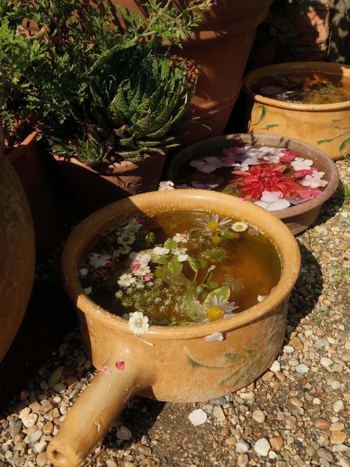 naturephotography #naturelovers #earthfocus #discoverearth #nature_perfection #ourplanetdaily planetearth stayandwander peacefulplaces calmvisuals