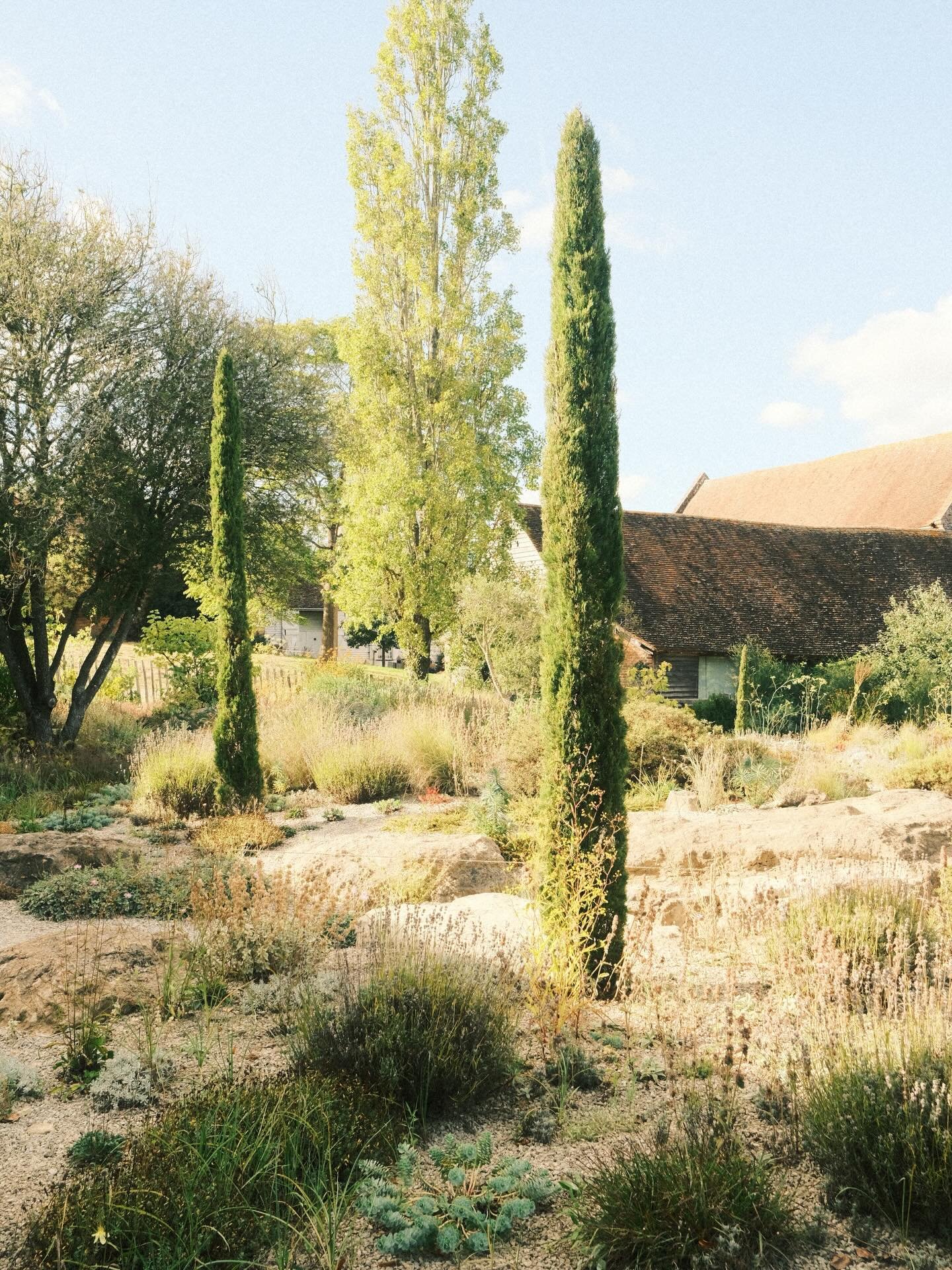 #floralphotography #flowerphotography #botanicalphotography #flowerlovers #floral_perfection