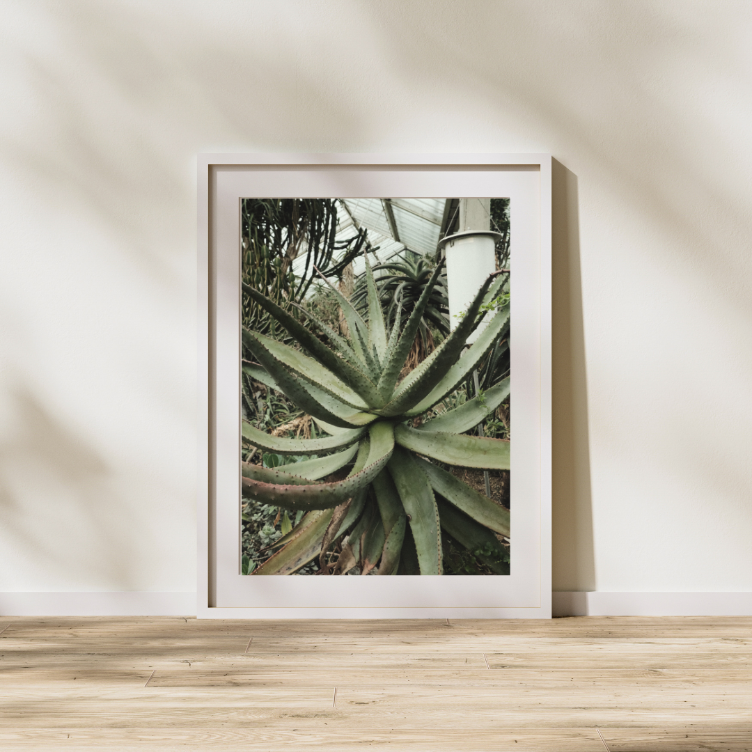 056 Plant Print