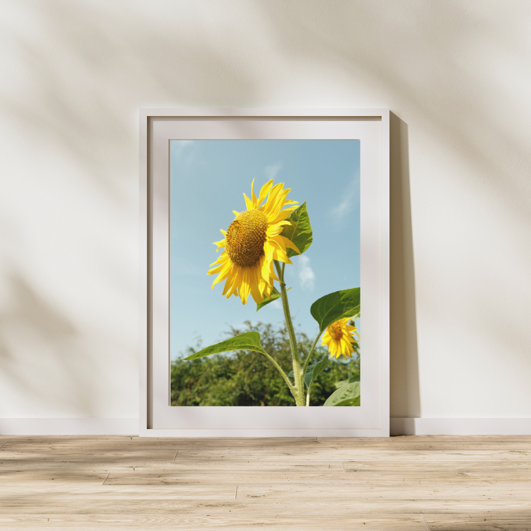 039 Sunflower Print