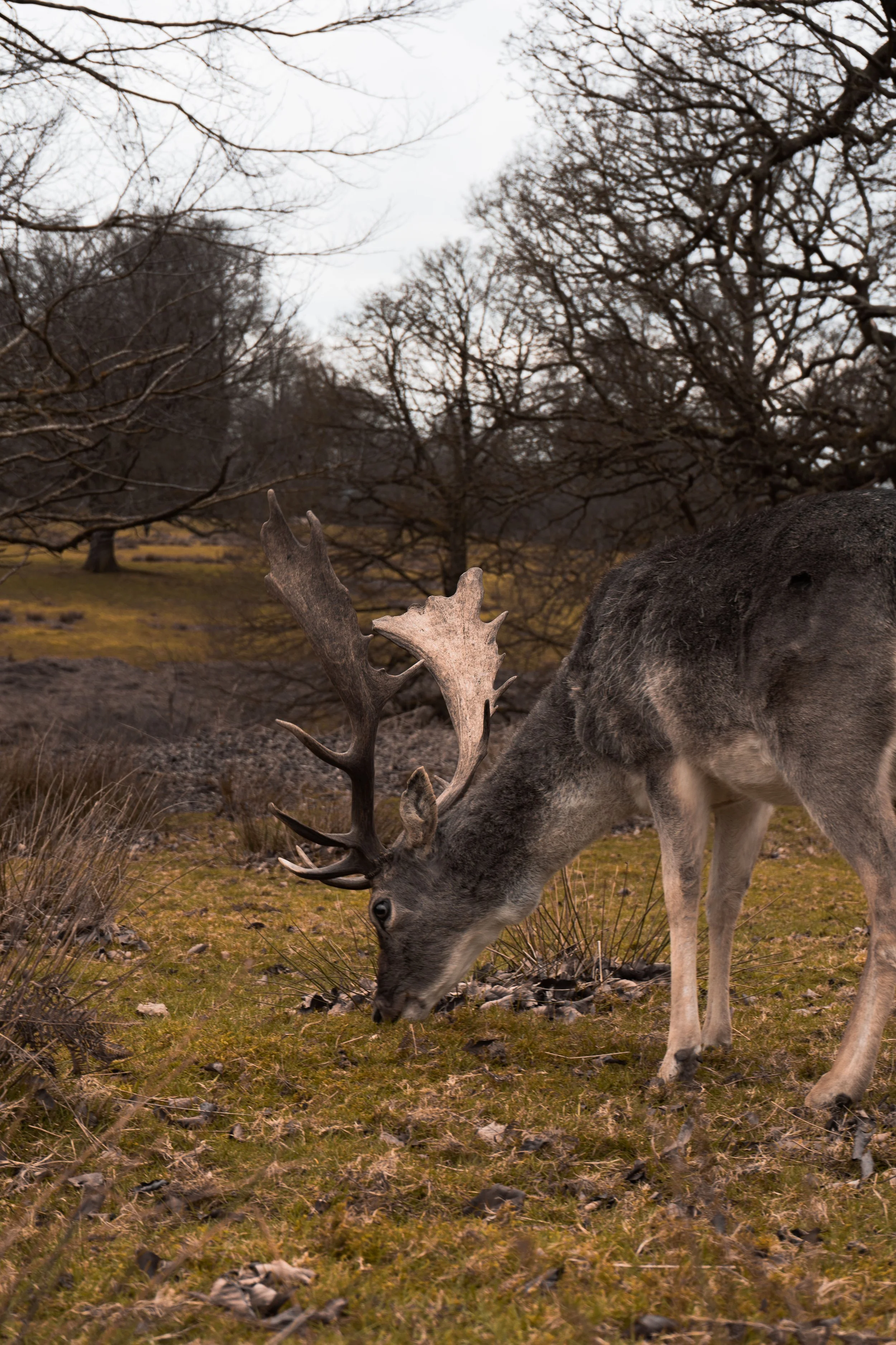 DSC02783Final Composition_.jpg