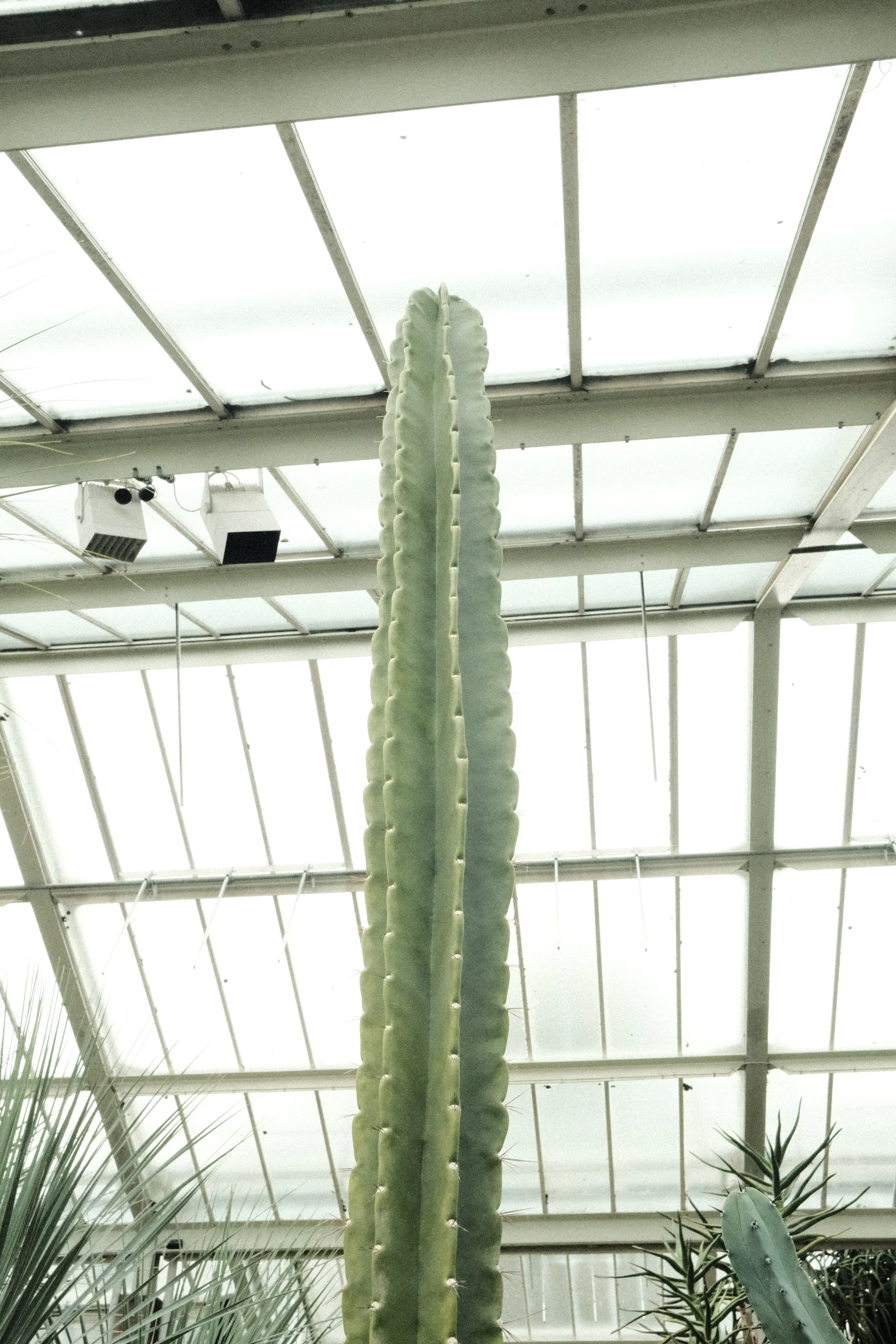 DSCF1298.JPG