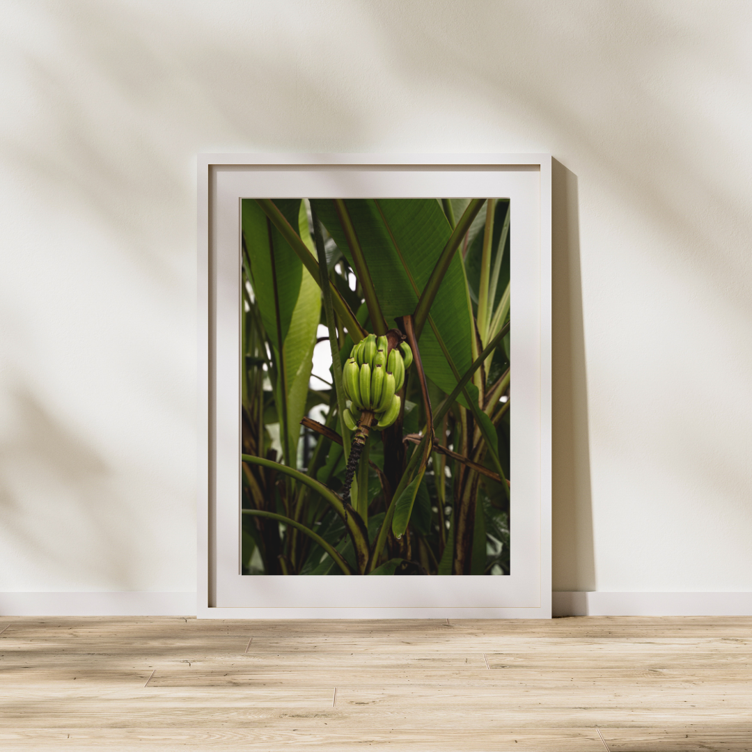 035 Banana Print