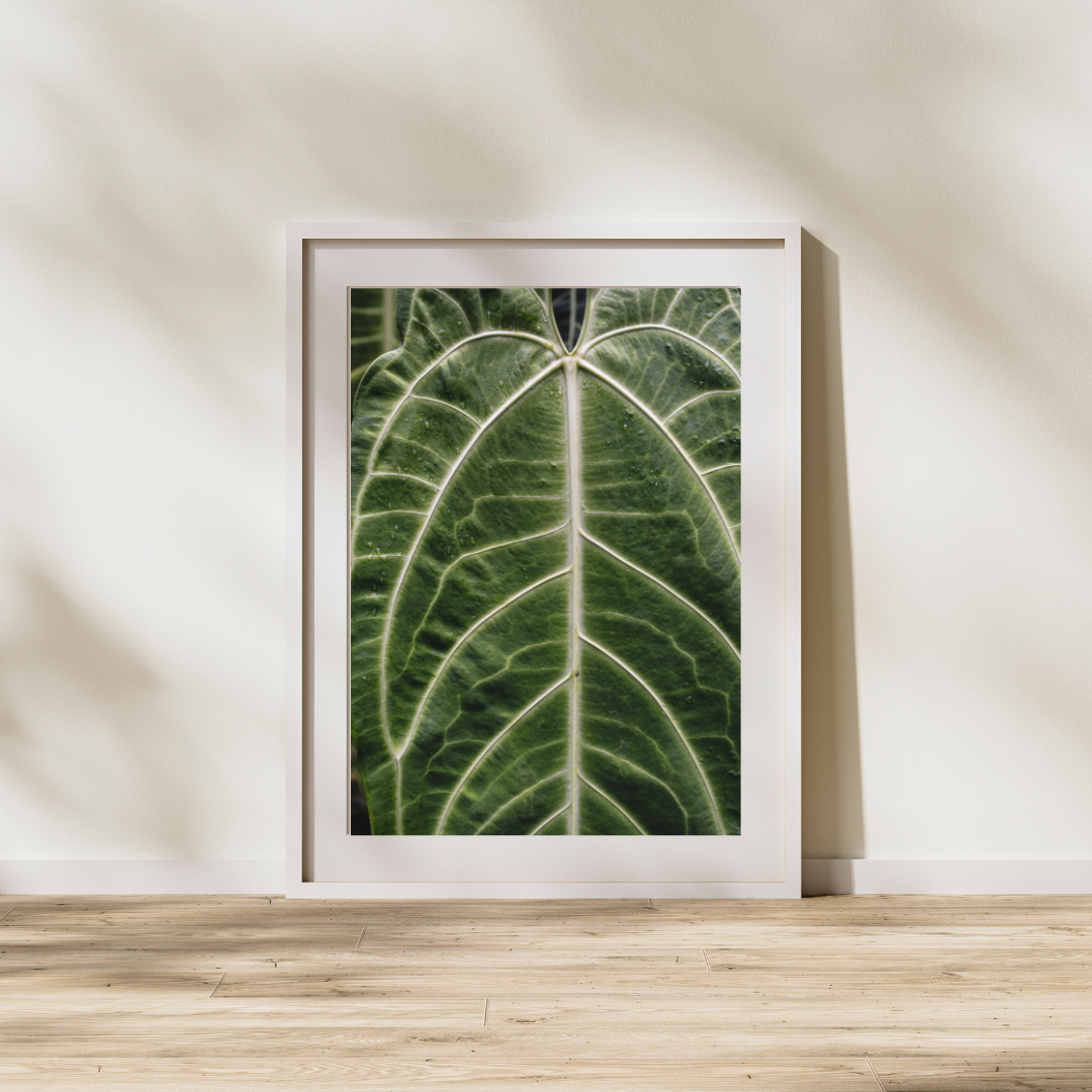 031 Plant Print