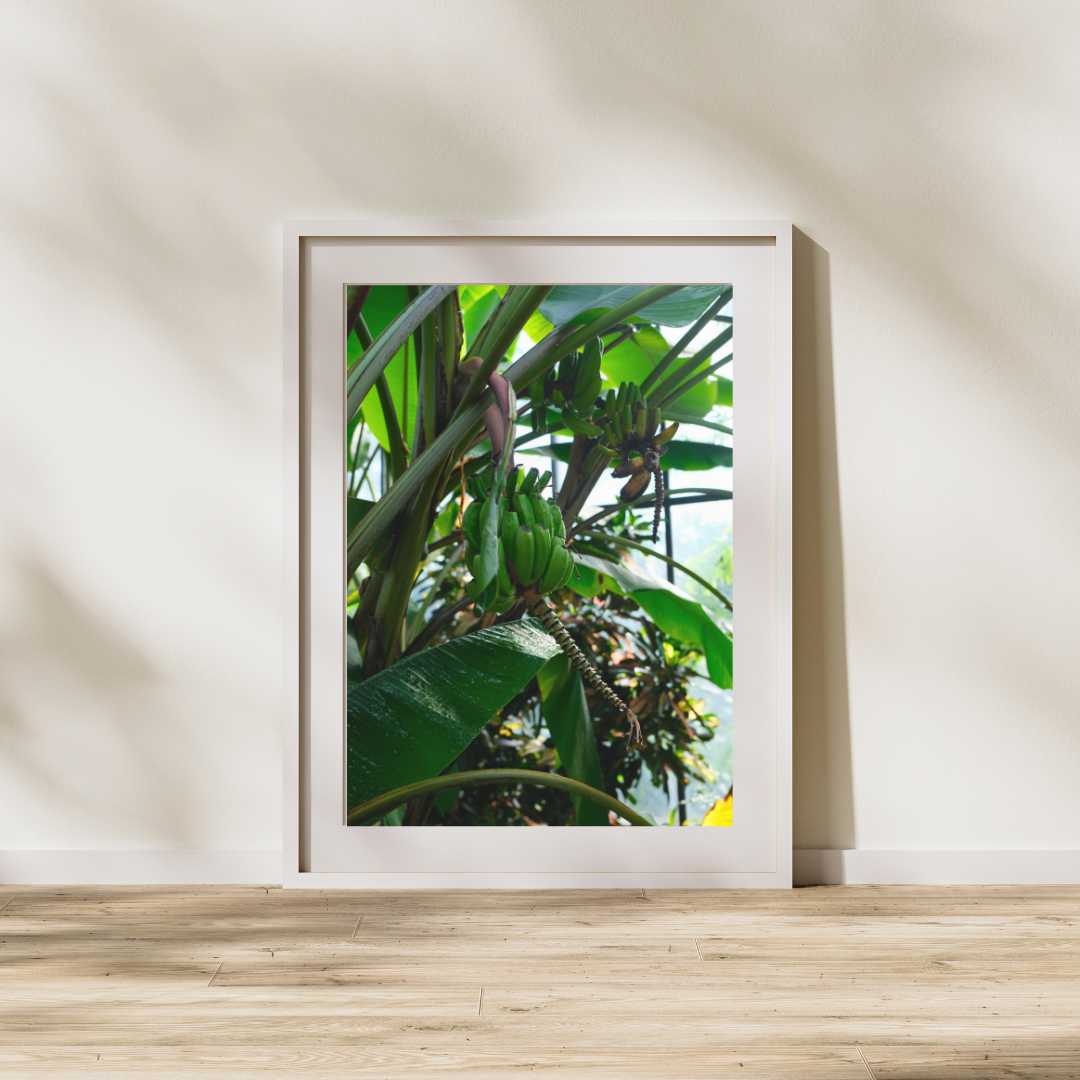 054 Plant Print