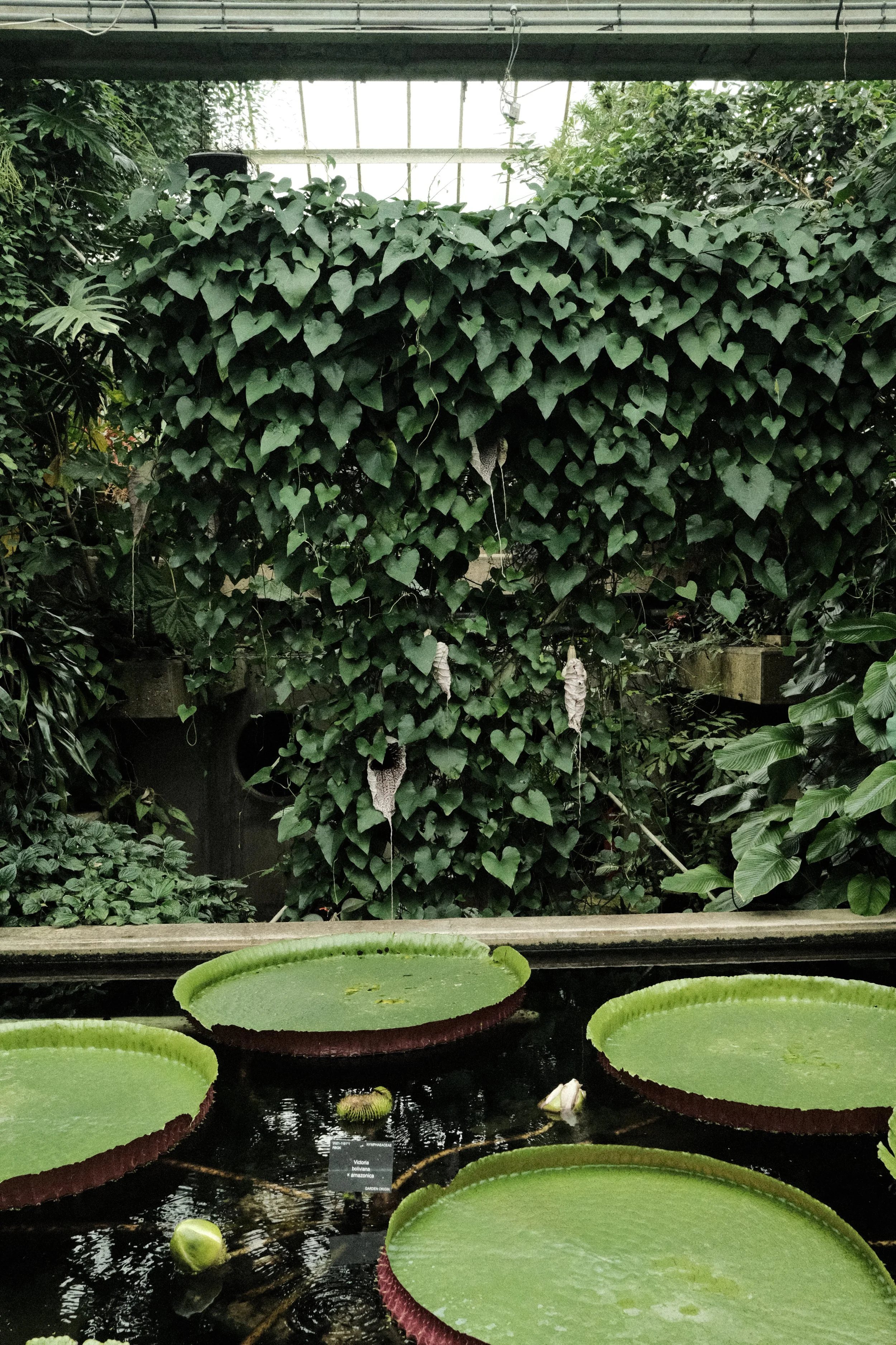 DSCF1135.JPG