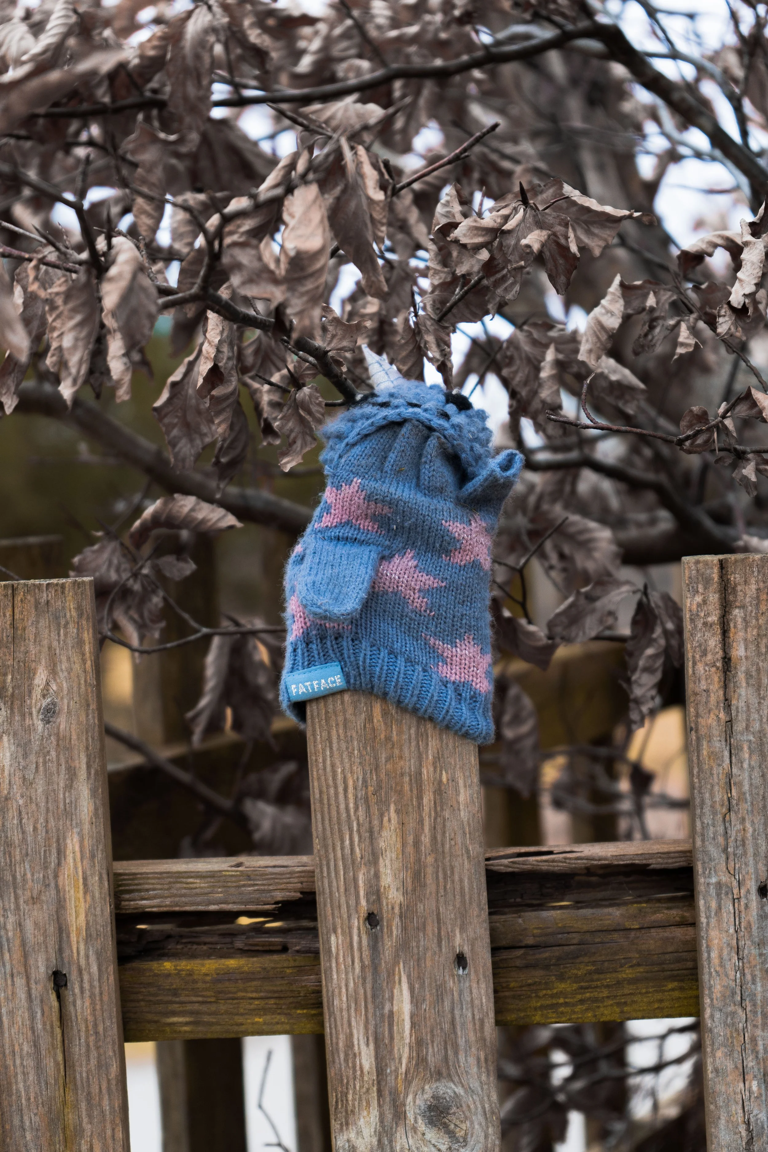 DSC02945Final Composition_.jpg