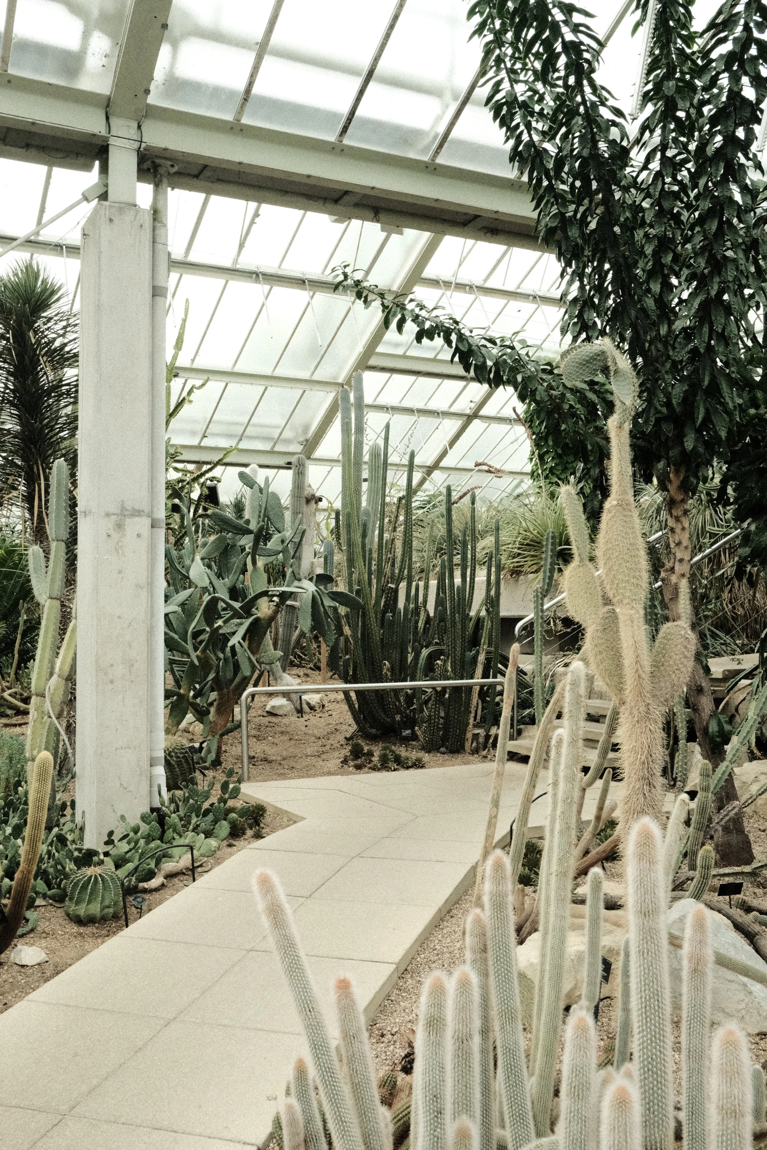 DSCF1281.JPG
