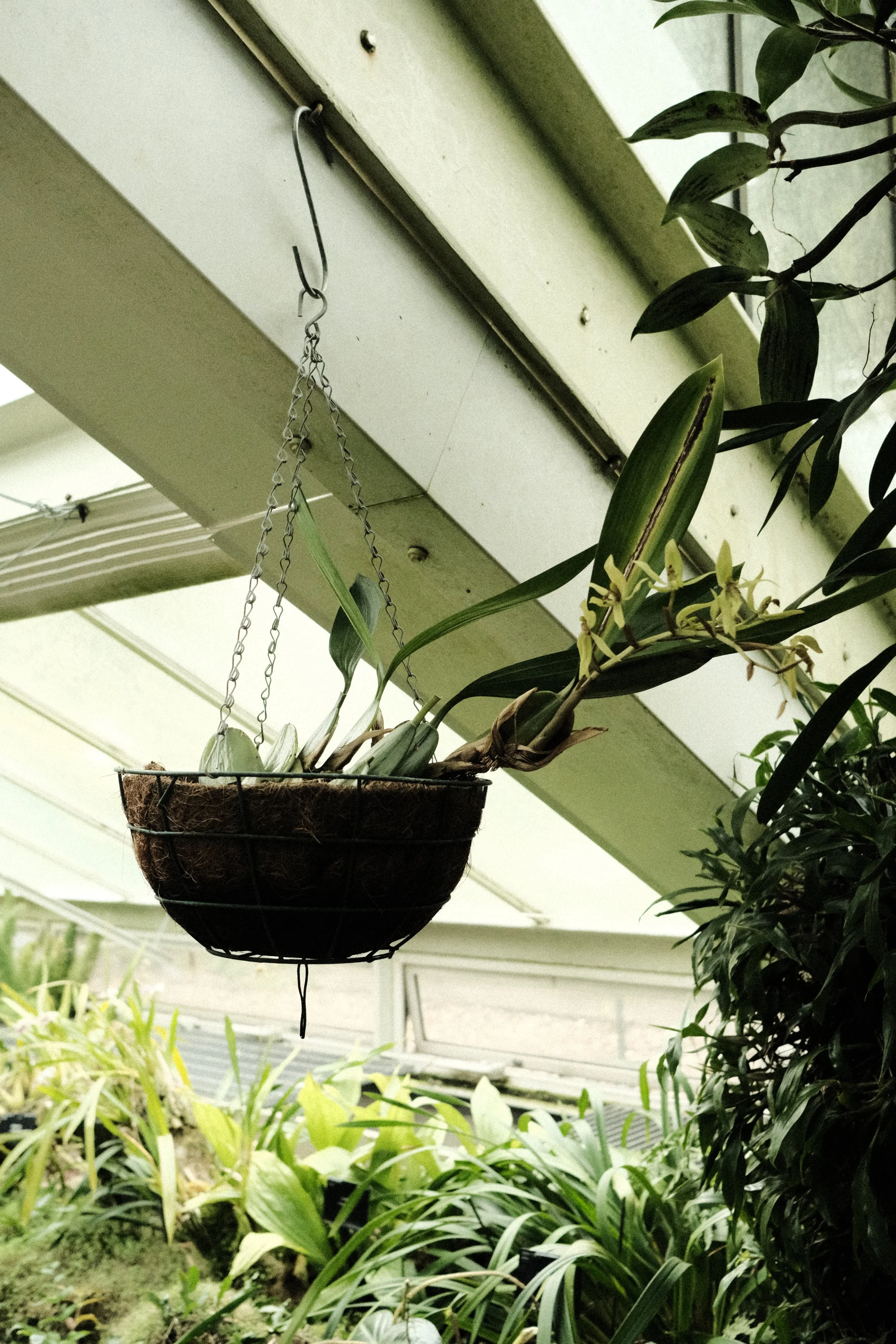 DSCF1259.JPG