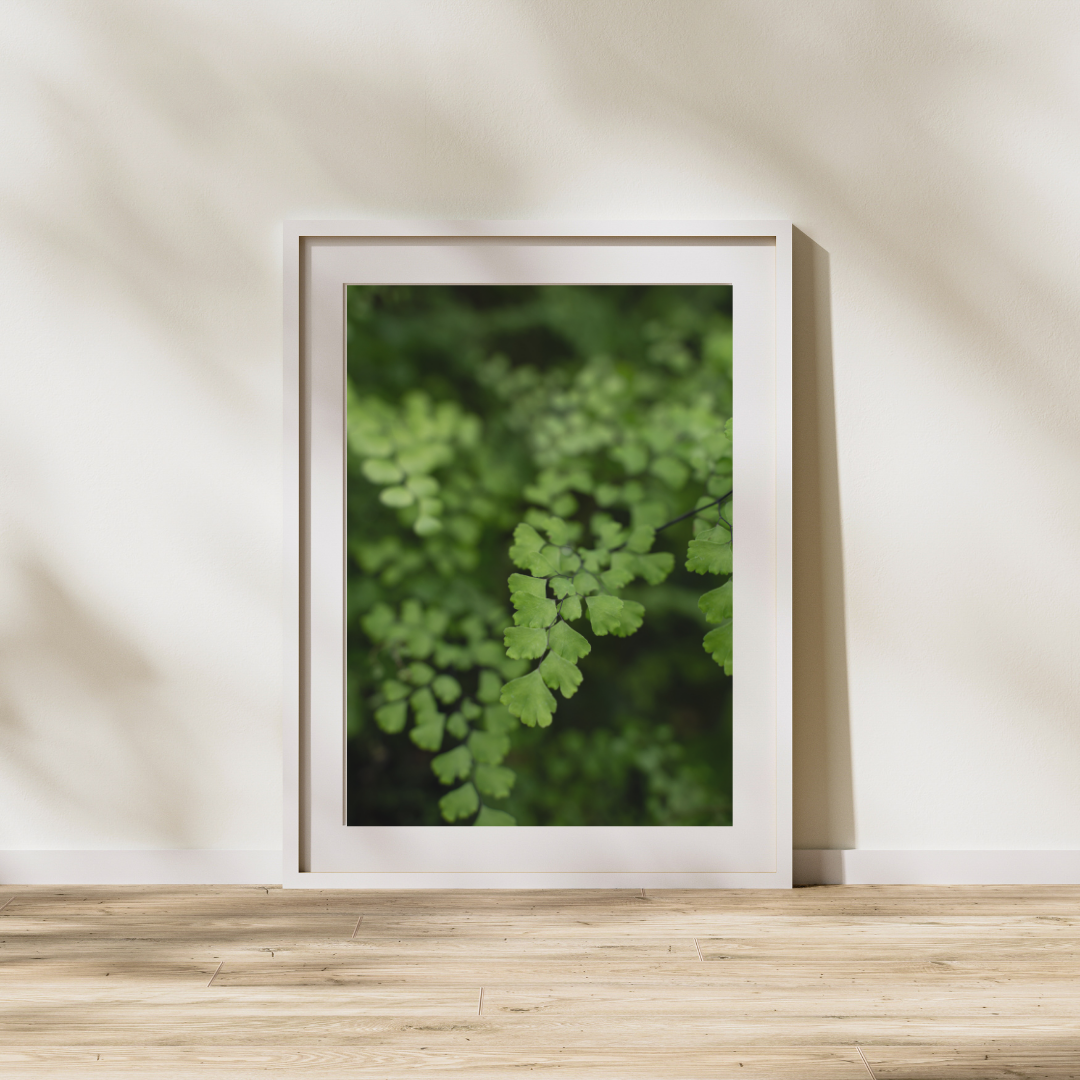 033 Fern Print