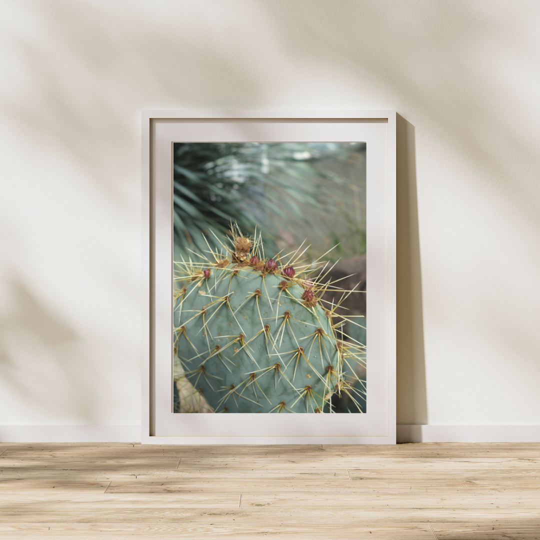 060 Cactus Print