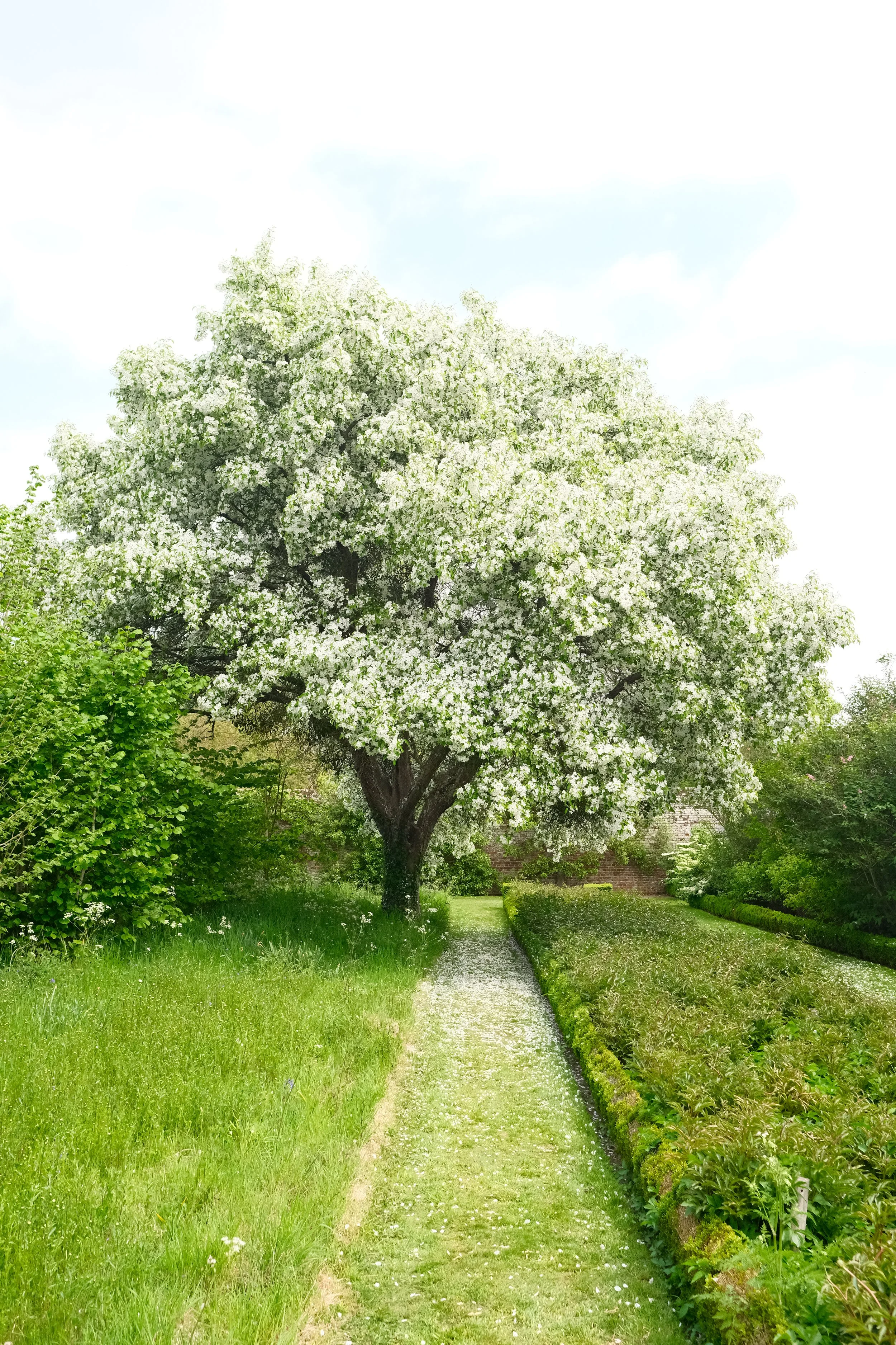 Penshurst Place, Kent 