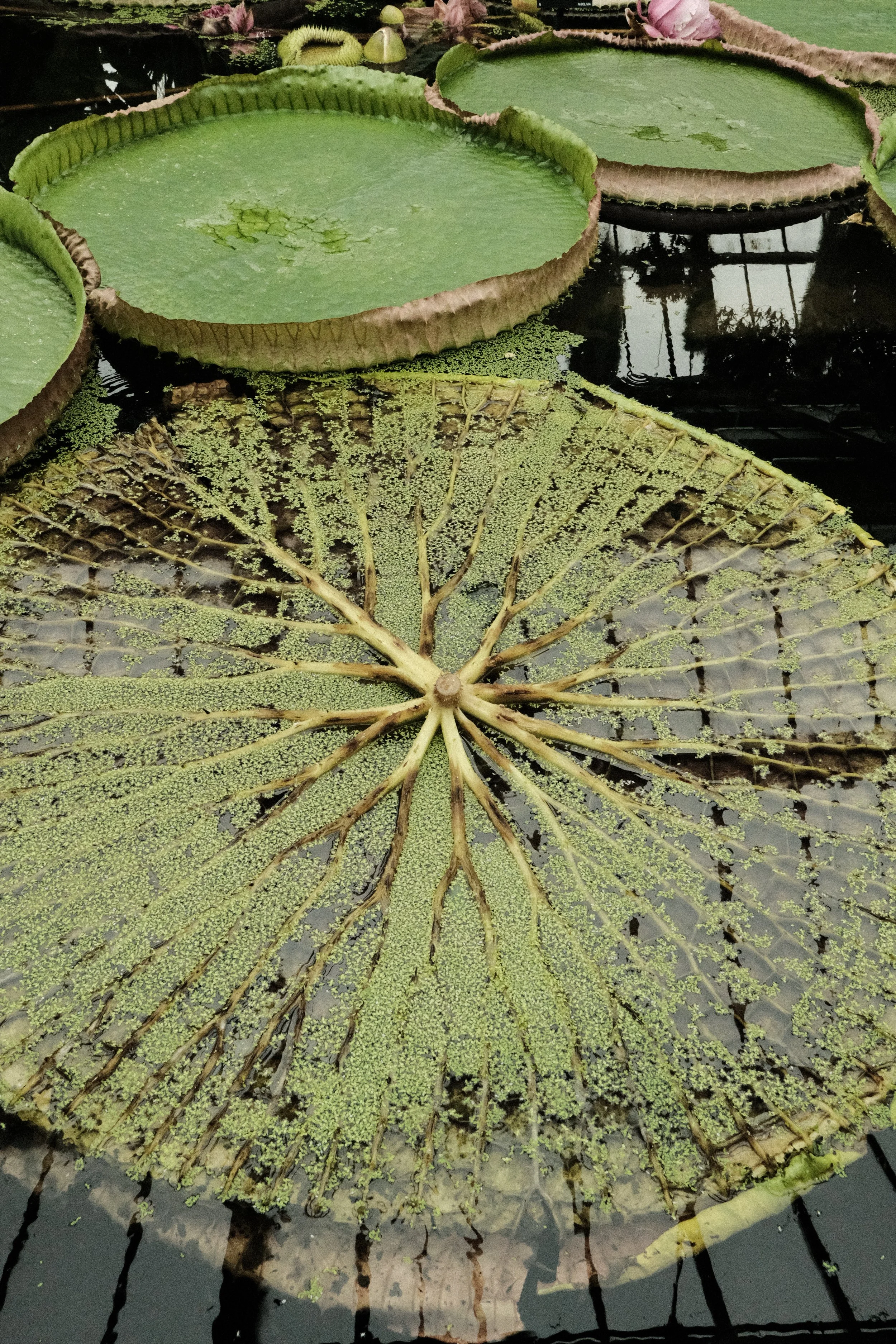 DSCF1155.JPG