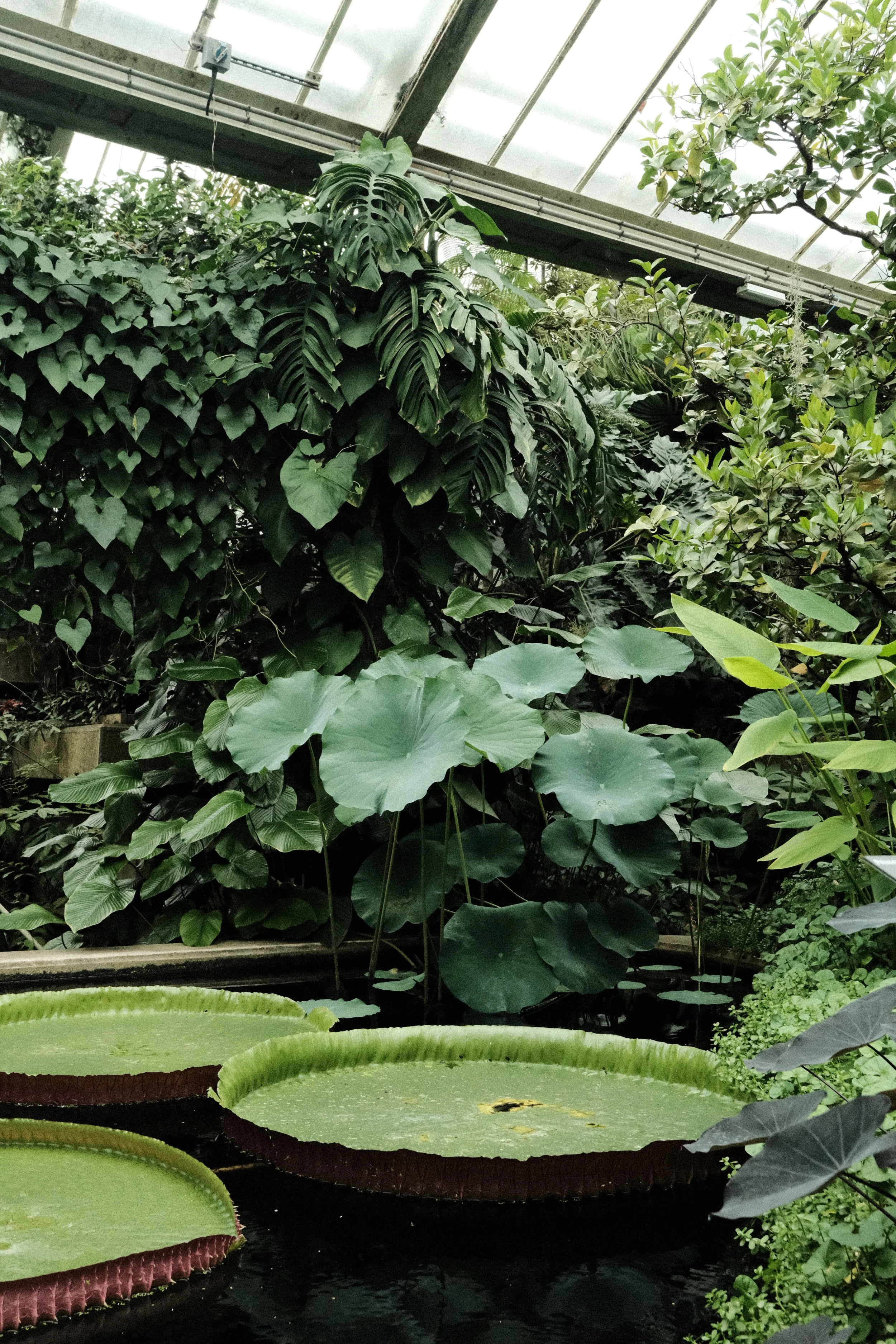 DSCF1138.JPG