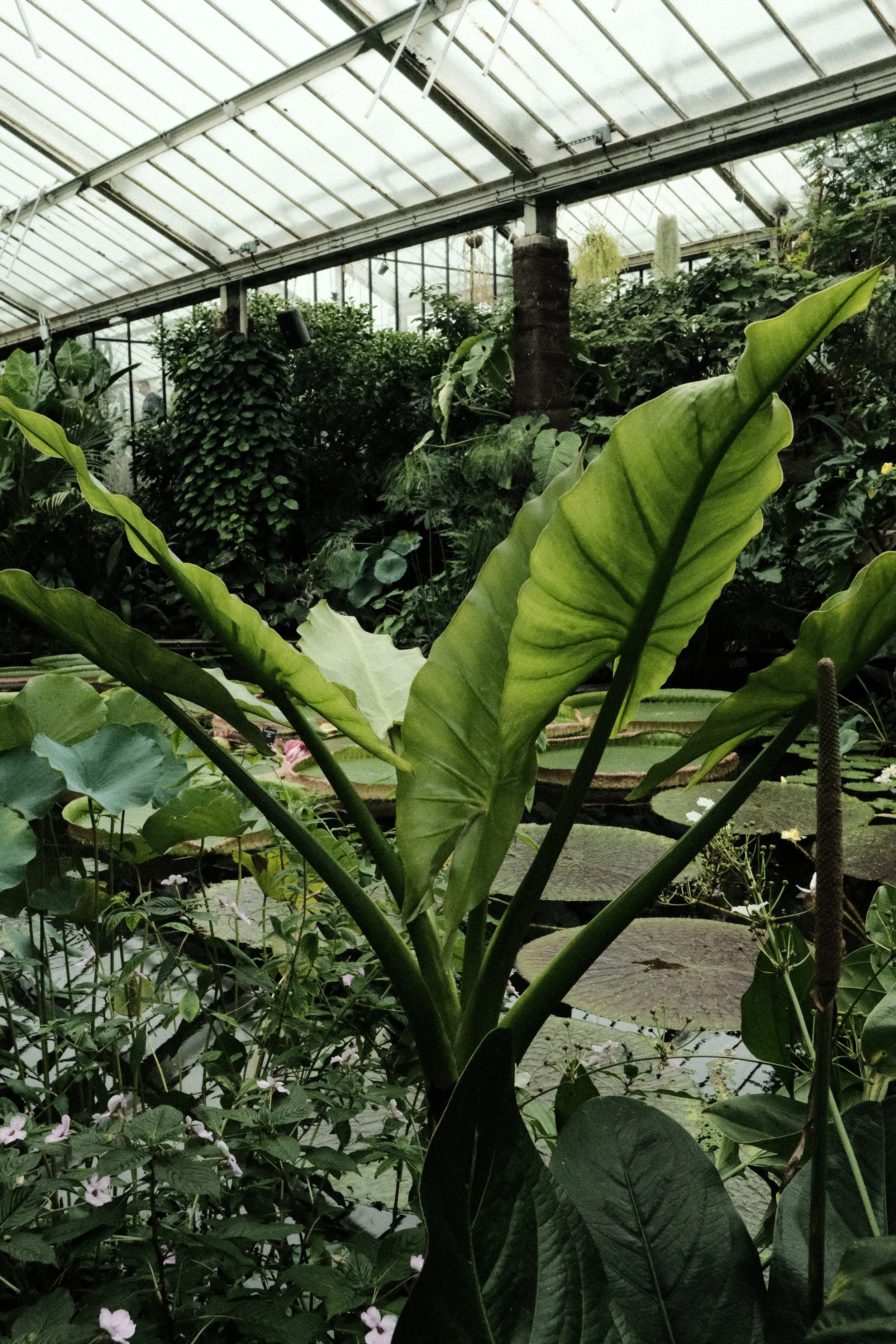 DSCF1153.JPG