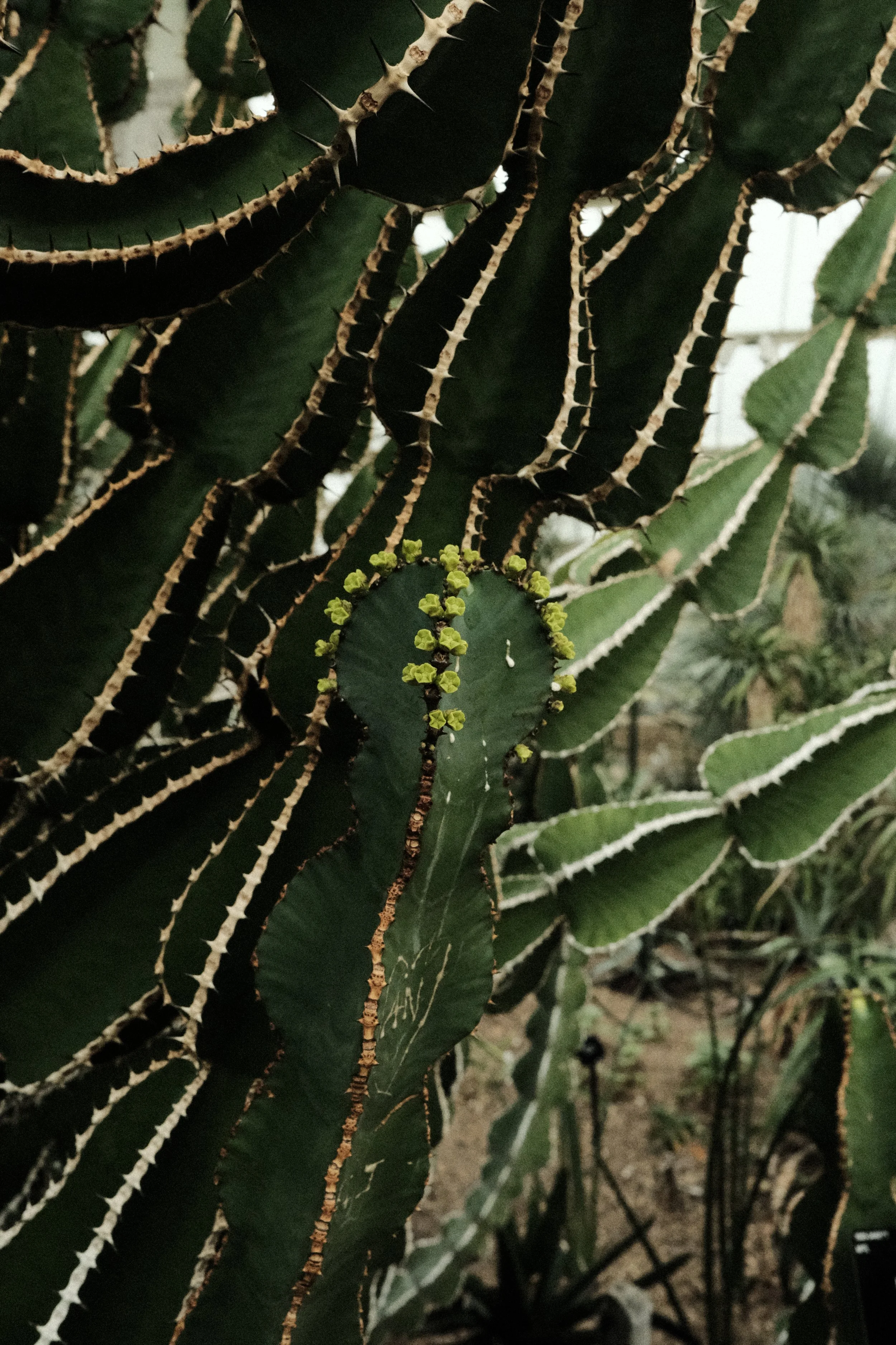 DSCF1310.JPG