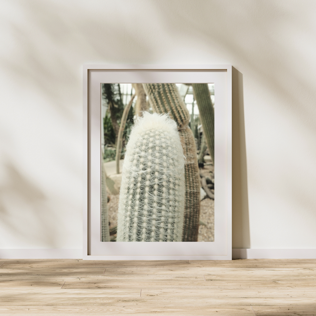 048 Cactus Print