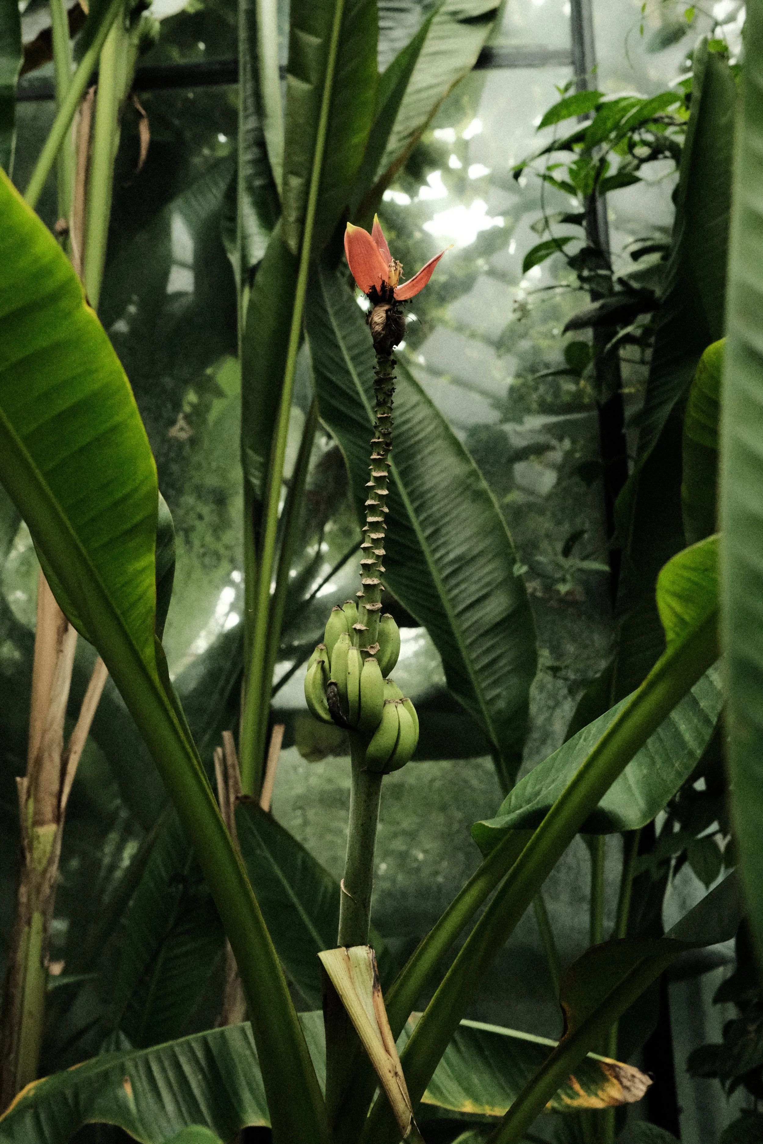 DSCF1210.JPG