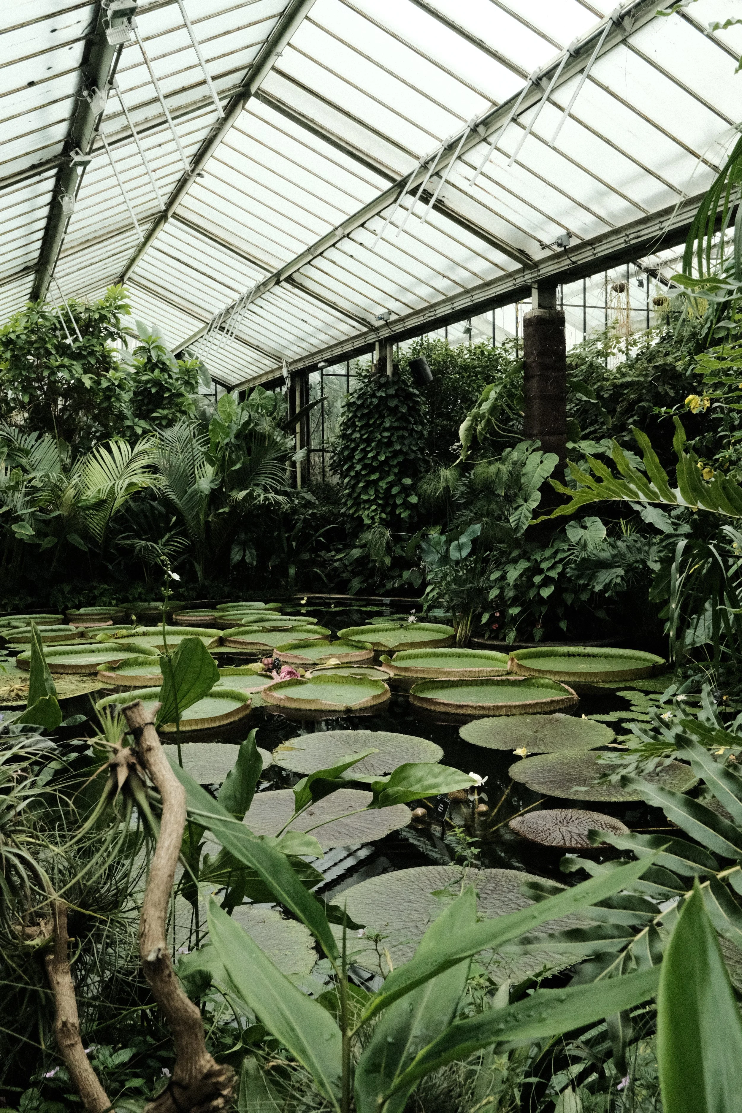 DSCF1147.JPG