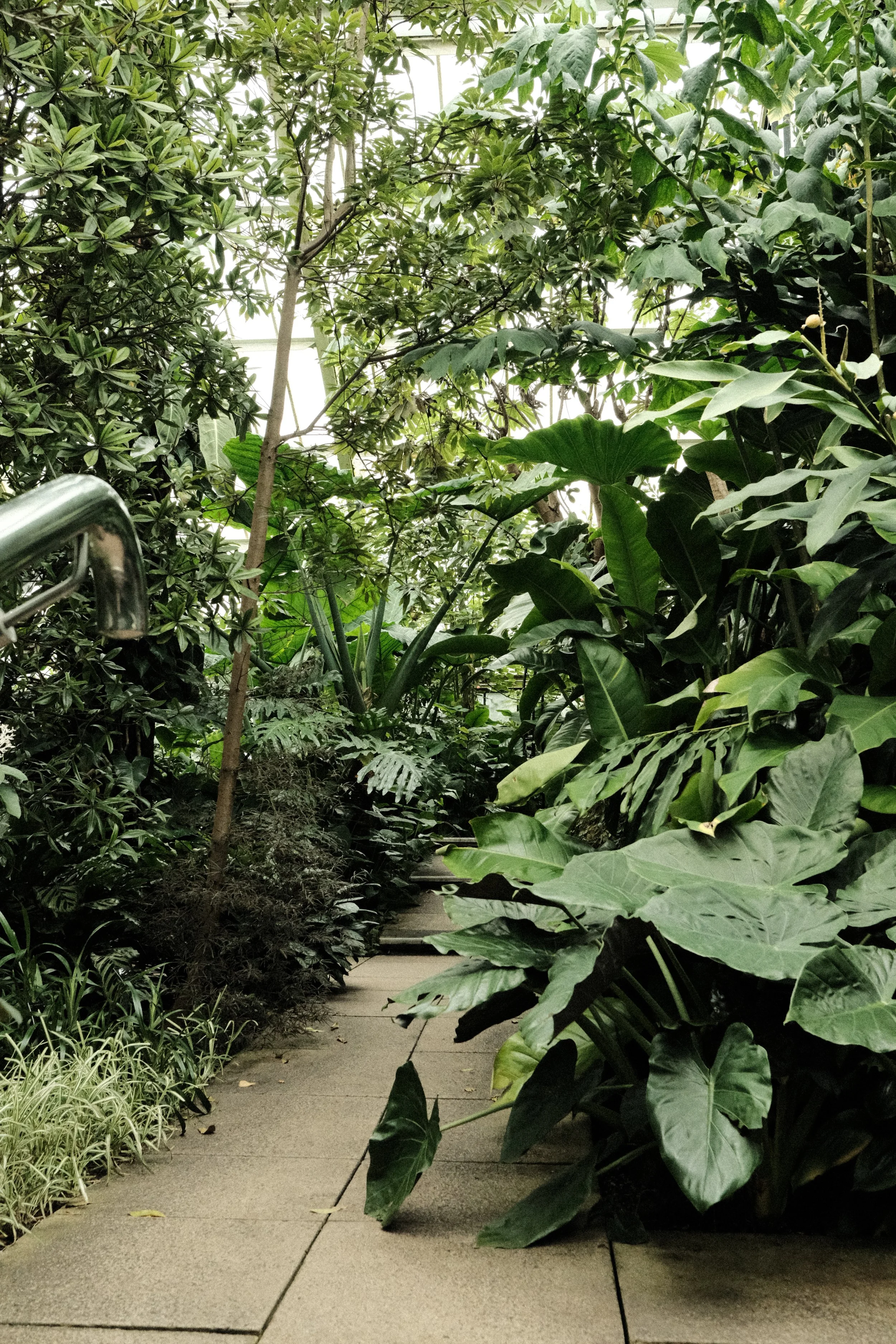 DSCF1211.JPG