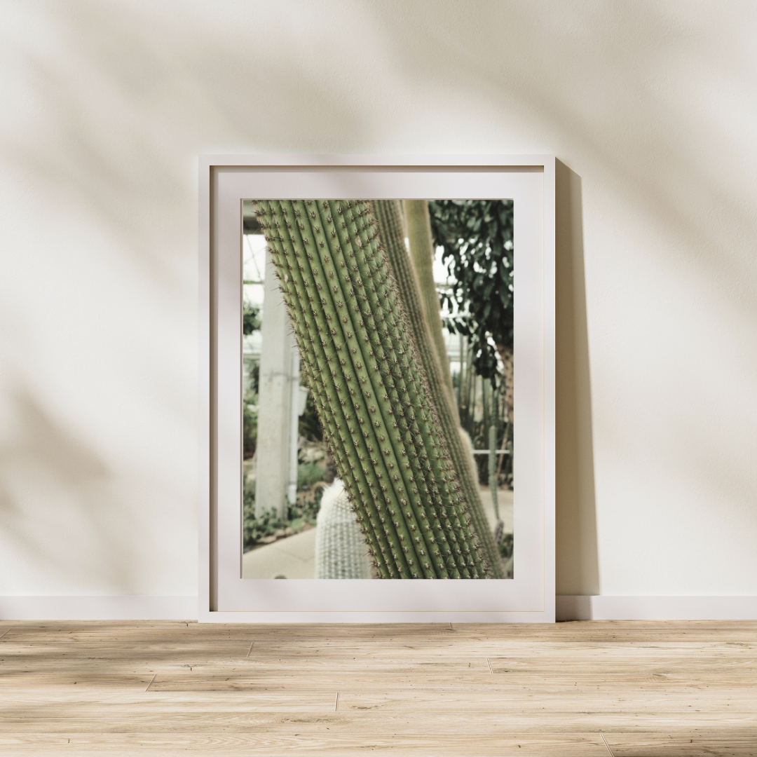 030 Cactus Print