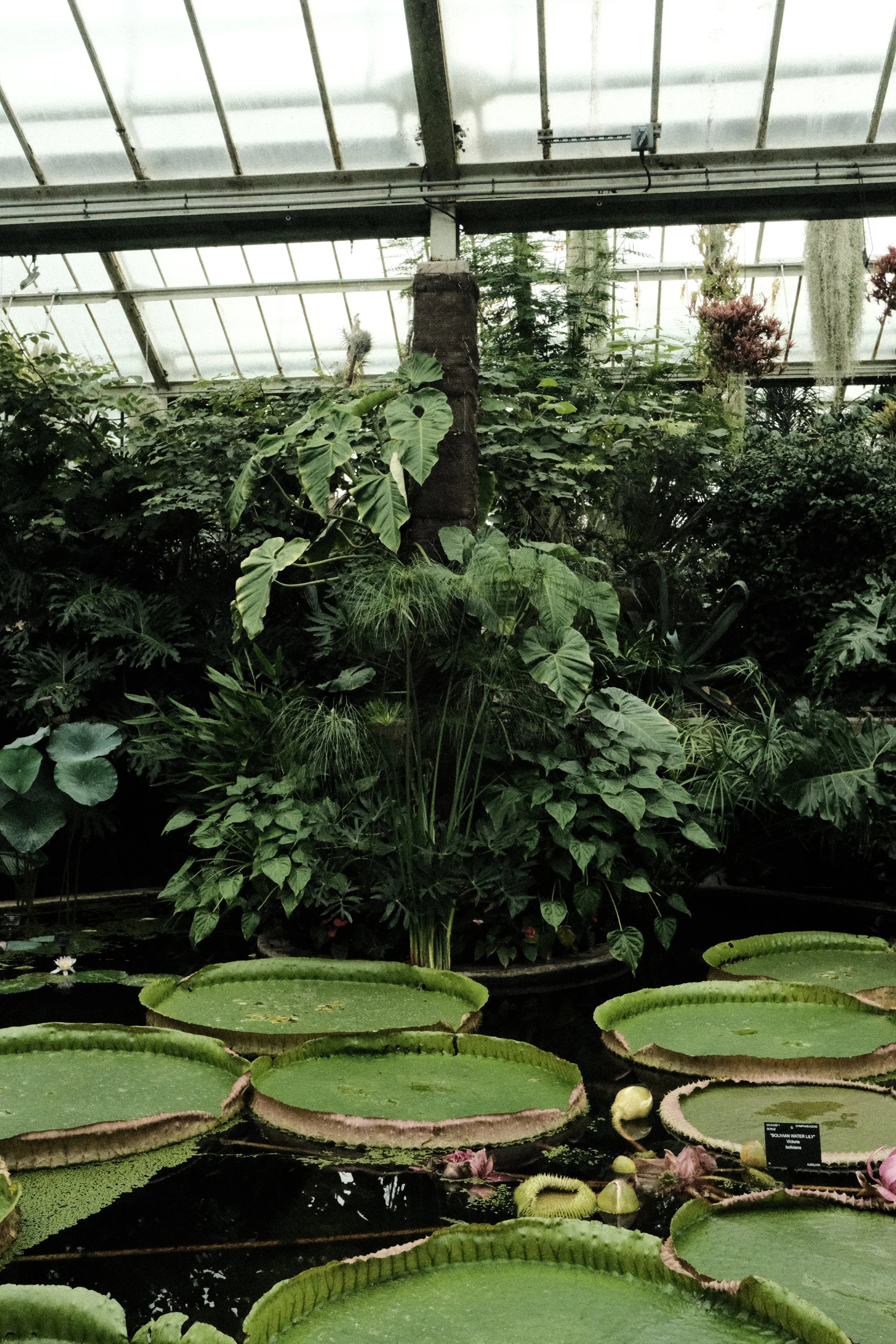 DSCF1157.JPG