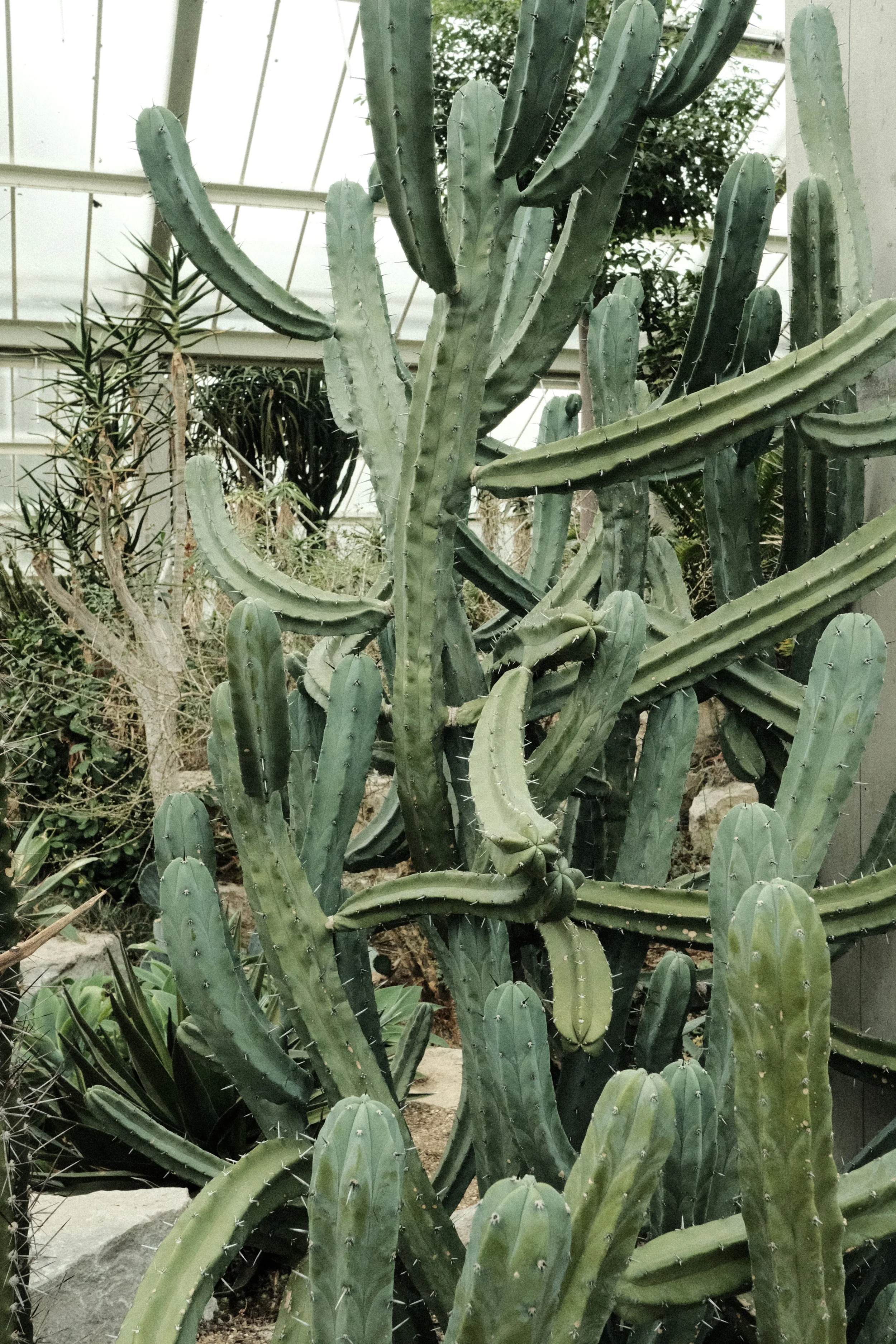 DSCF1299.JPG