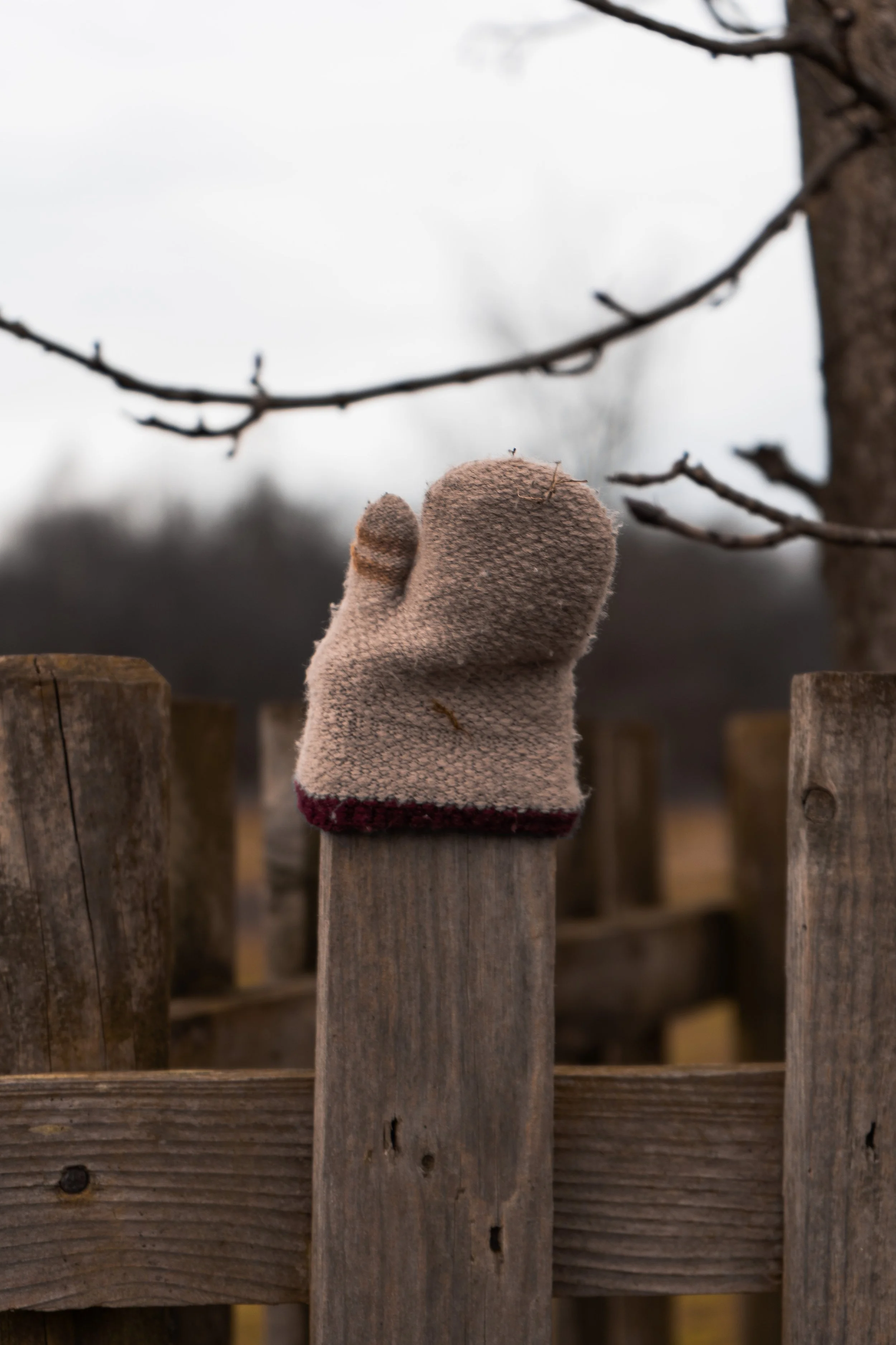 DSC02939Final Composition_.jpg