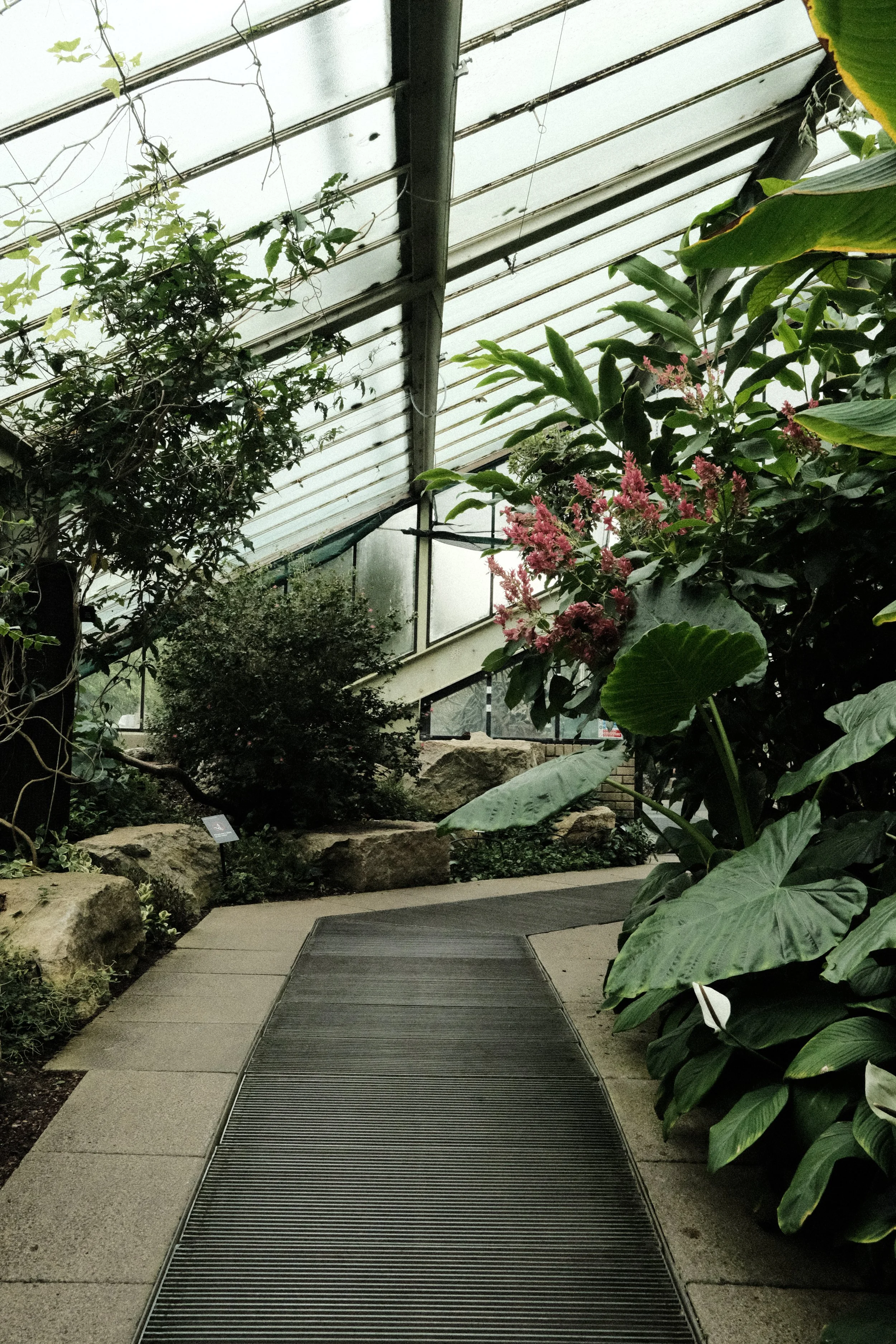 DSCF1172.JPG