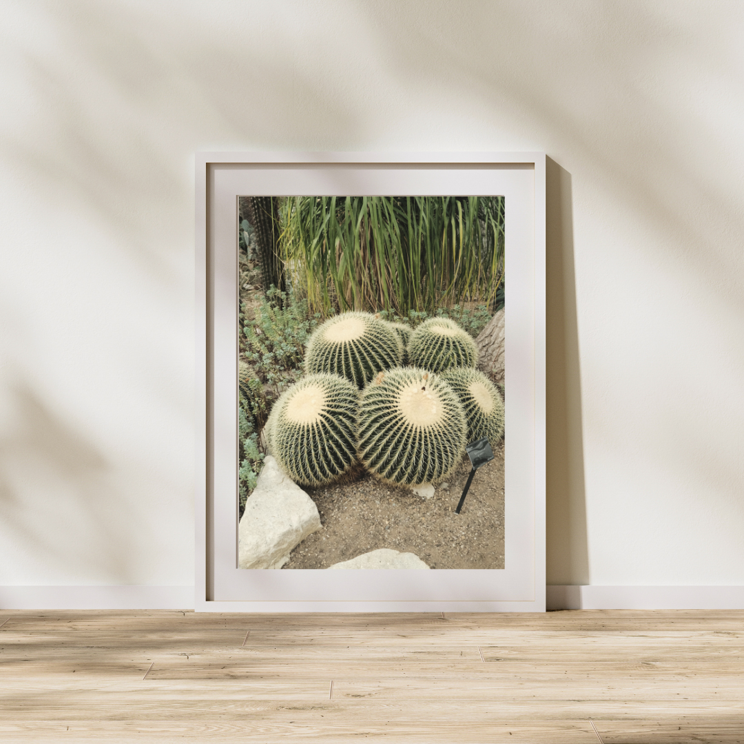 058 Cactus Print