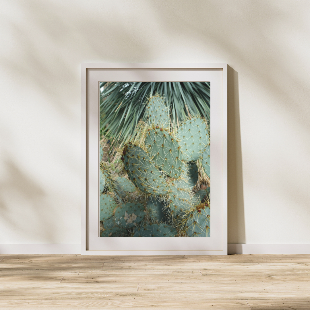 038 Cactus Print