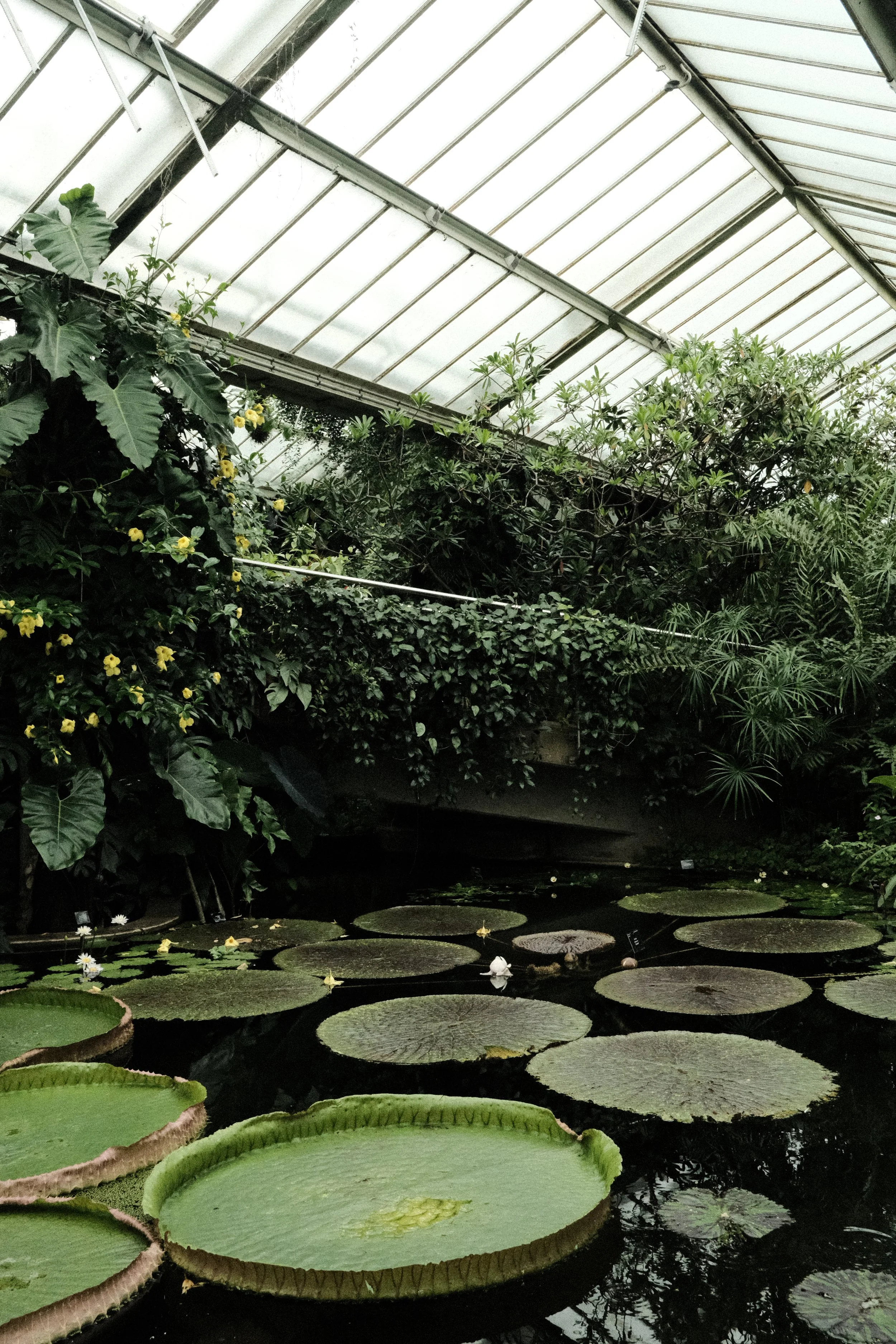 Kew, Richmond - 2024