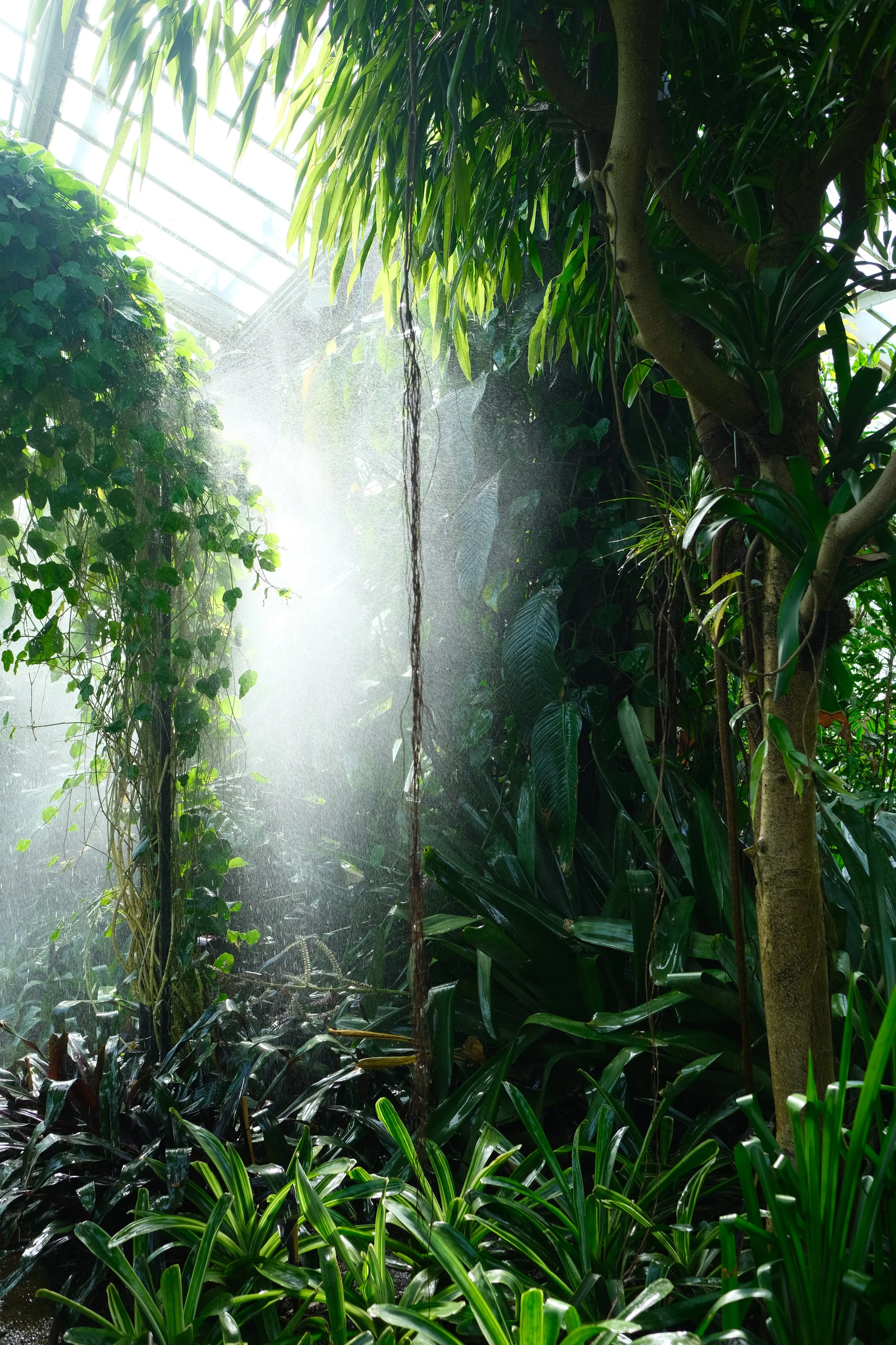 Kew, Richmond - 2025