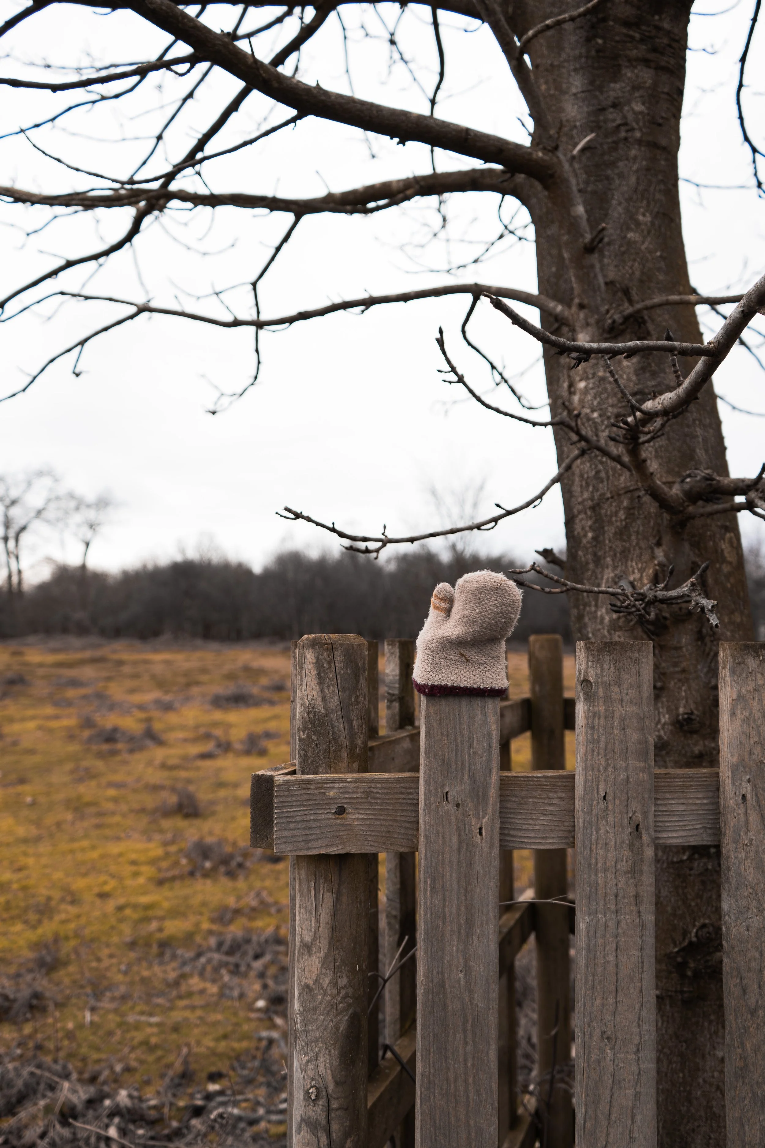 DSC02941Final Composition_.jpg