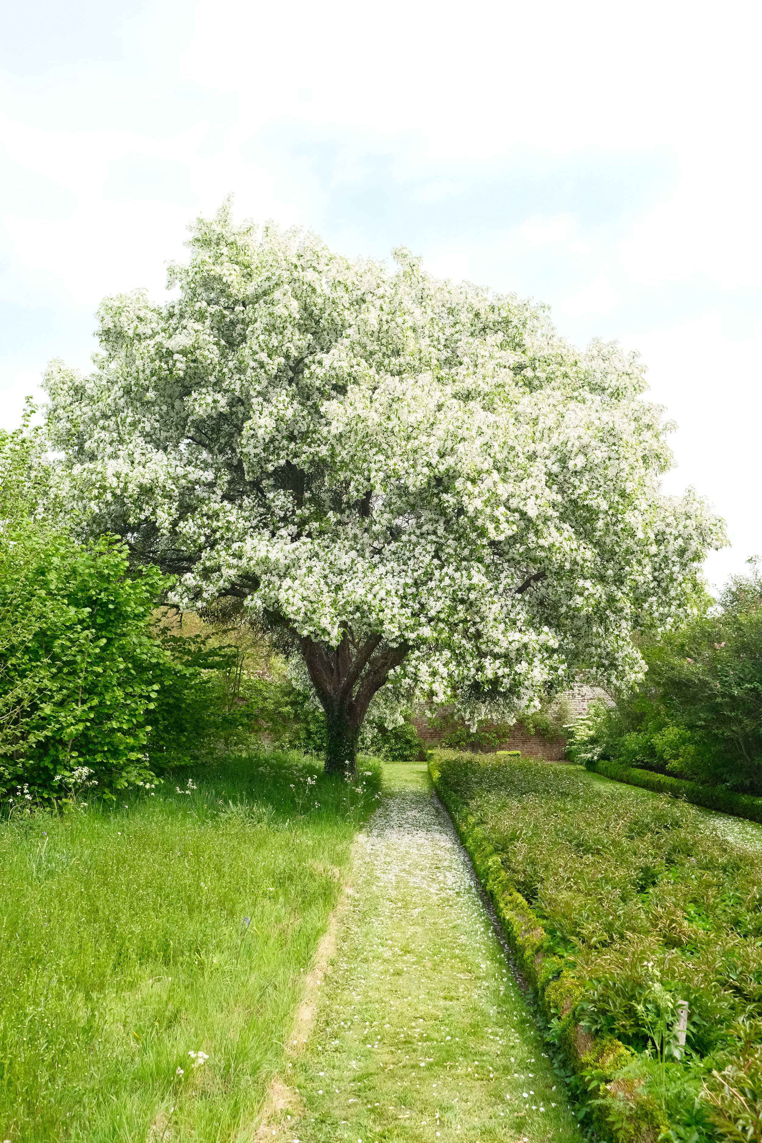 Penshurst Place, Kent 