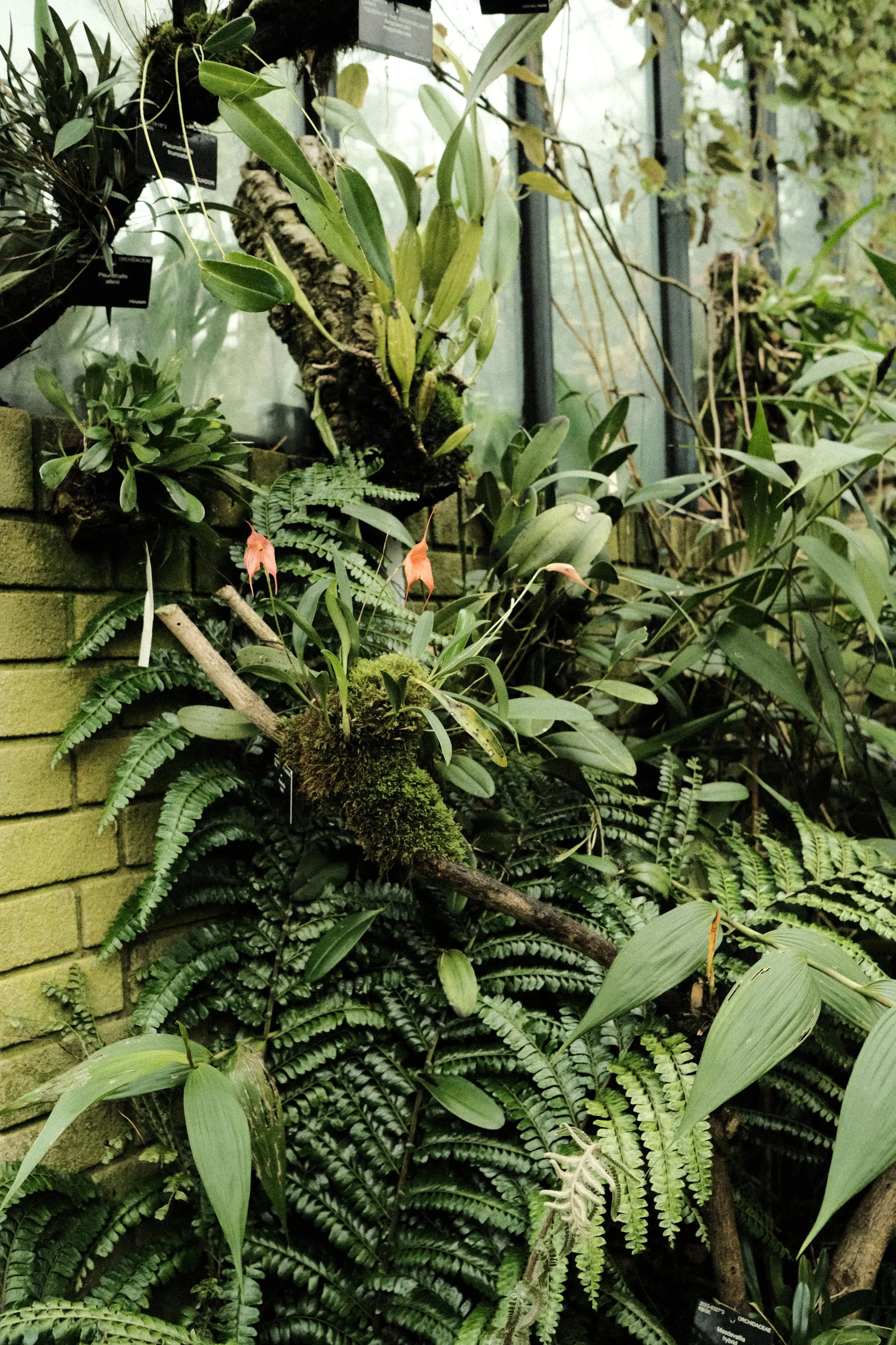 DSCF1260.JPG