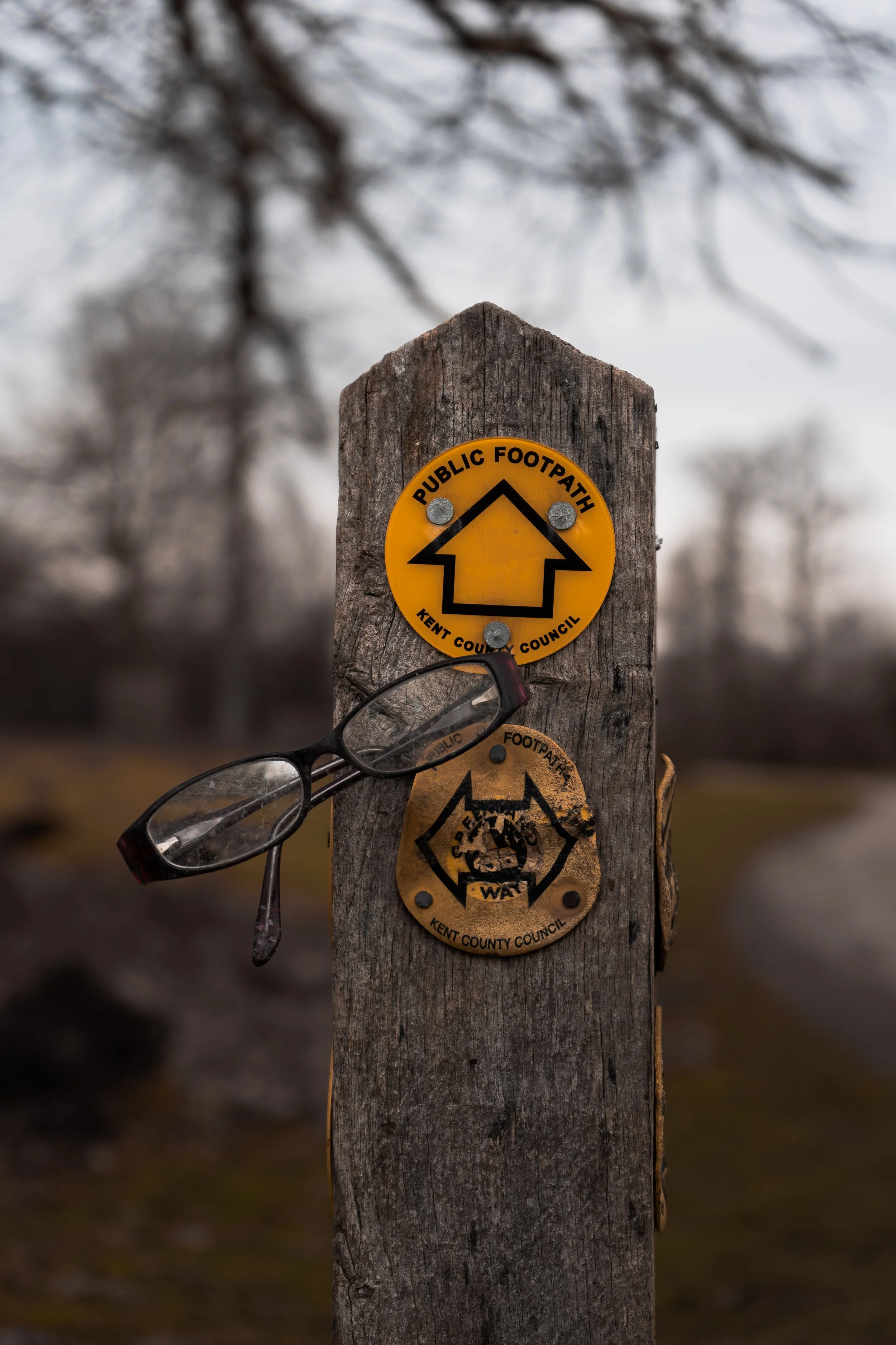 DSC02938Final Composition_.jpg