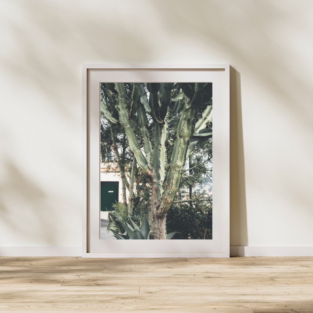 053 Cactus Print