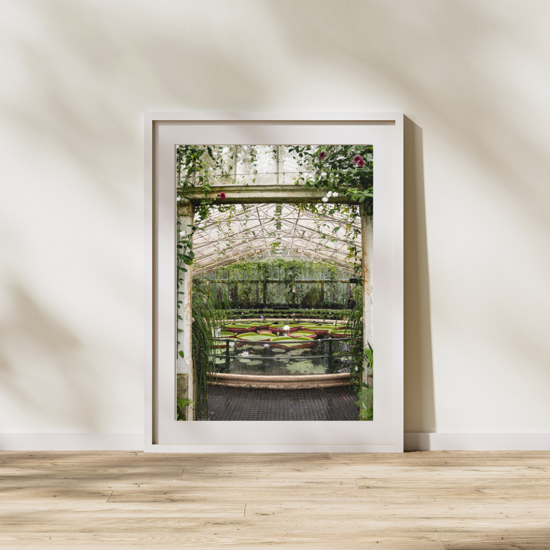 025 Palm House Print