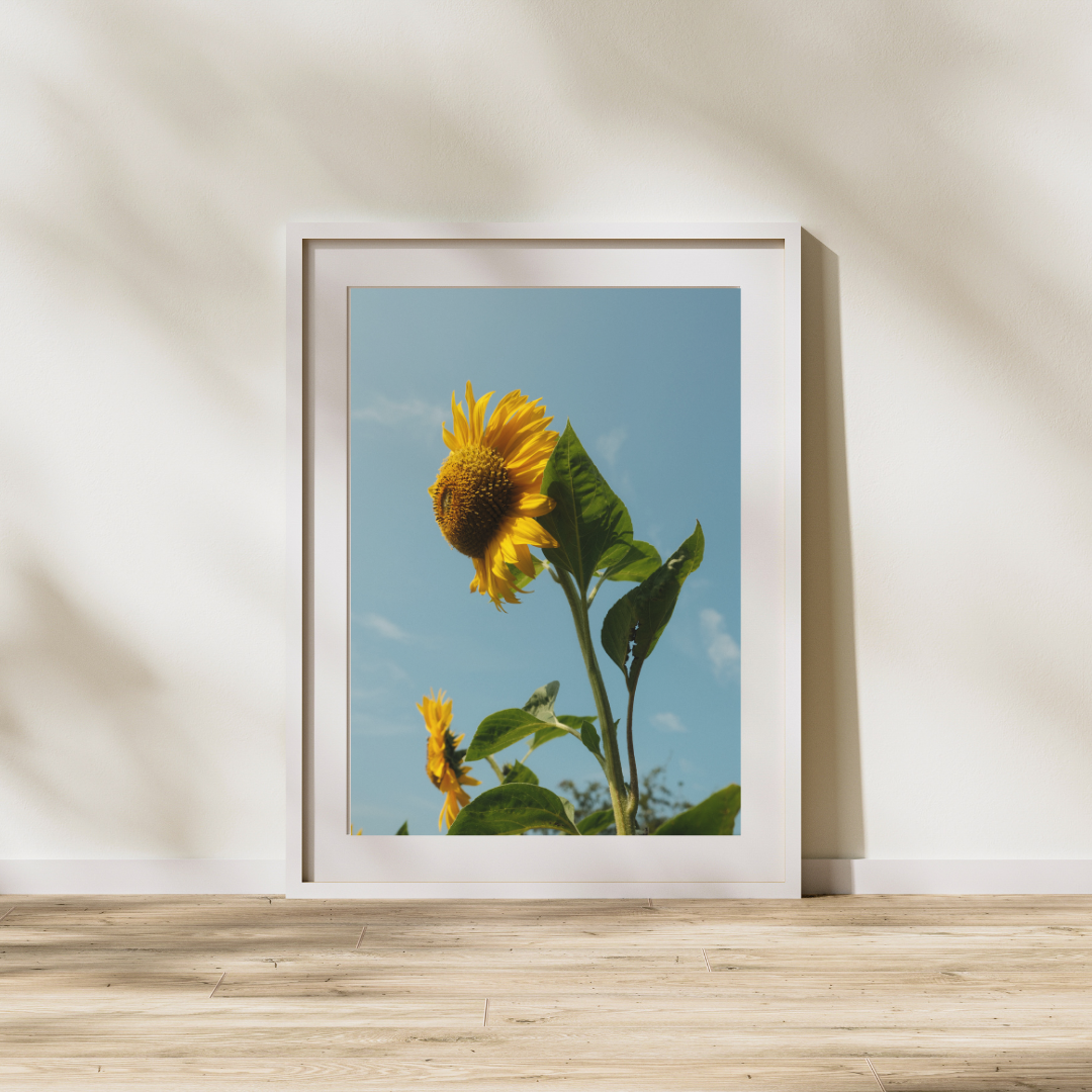 046 Sunflower Print