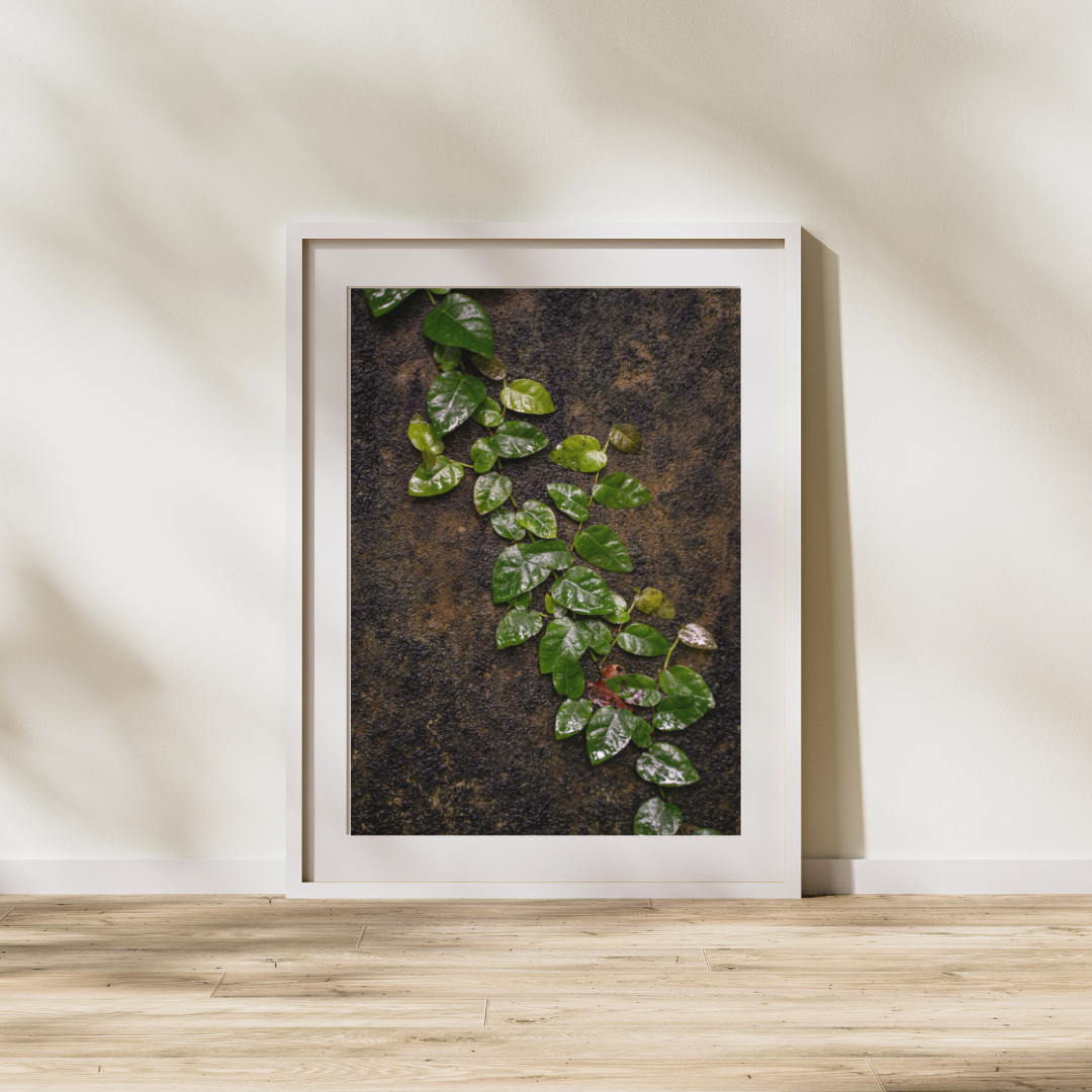 042 Plant Print