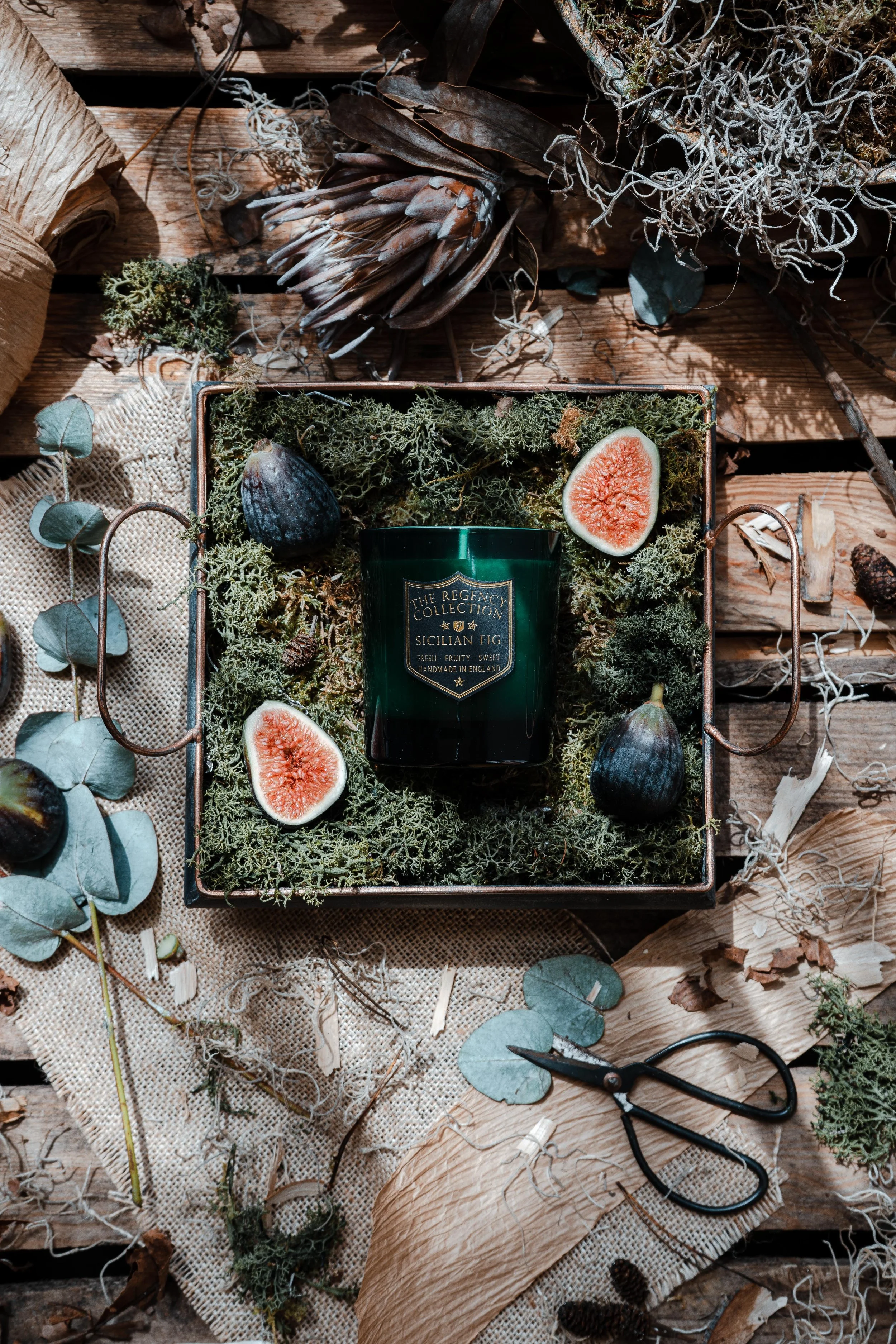 The Regency Collection 