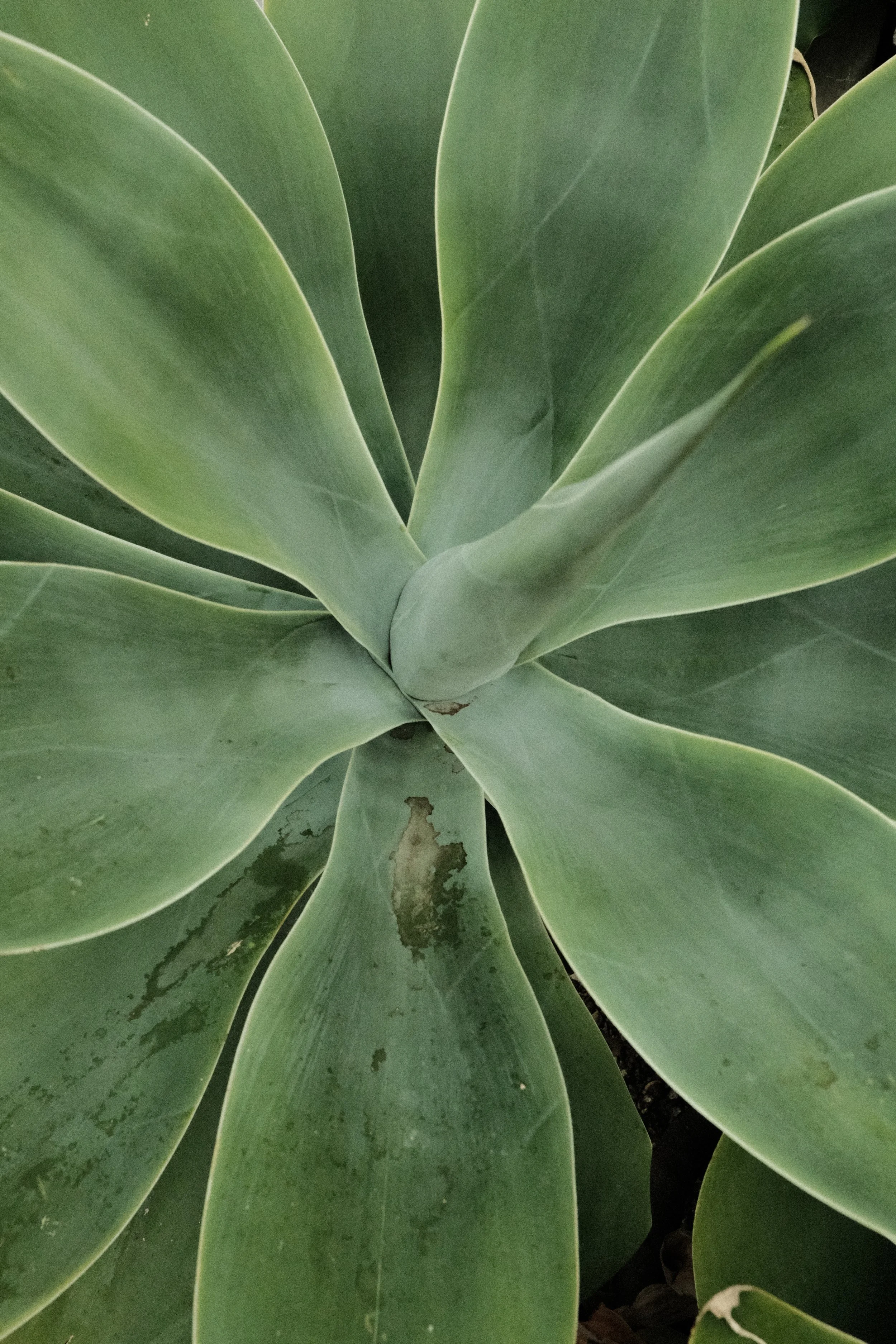 DSCF1319.JPG