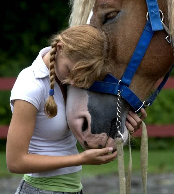 cover tryAnna8956.jpg